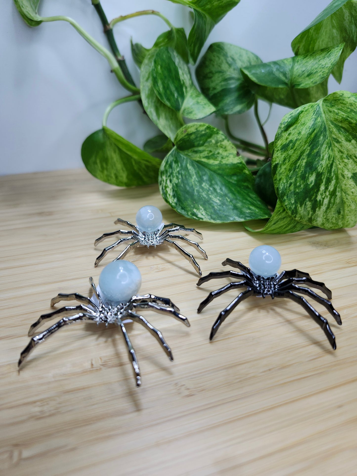 AQUAMARINE SPIDER