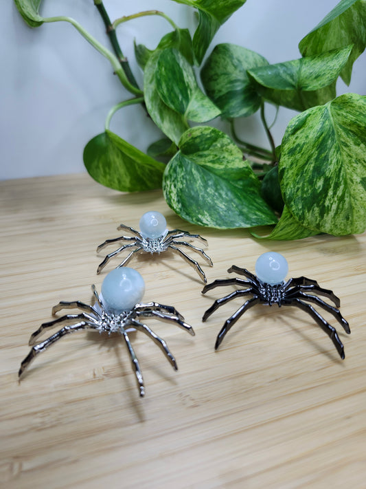 AQUAMARINE SPIDER