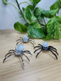 AQUAMARINE SPIDER