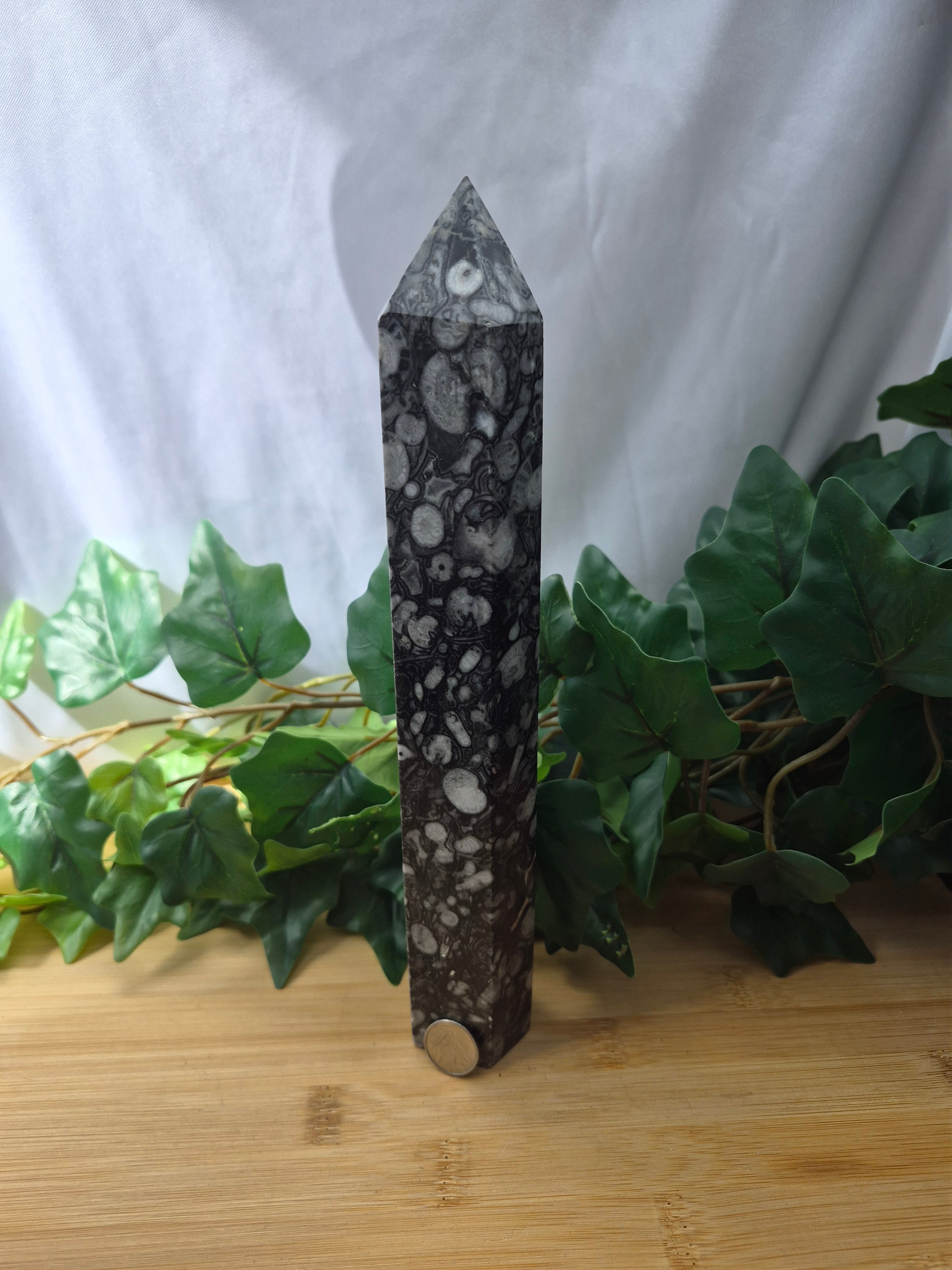 AMMONITE FOSSIL TOWER