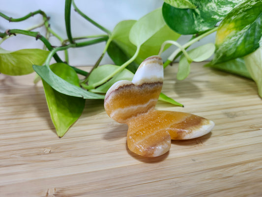 ORANGE CALCITE BUTTERFLY