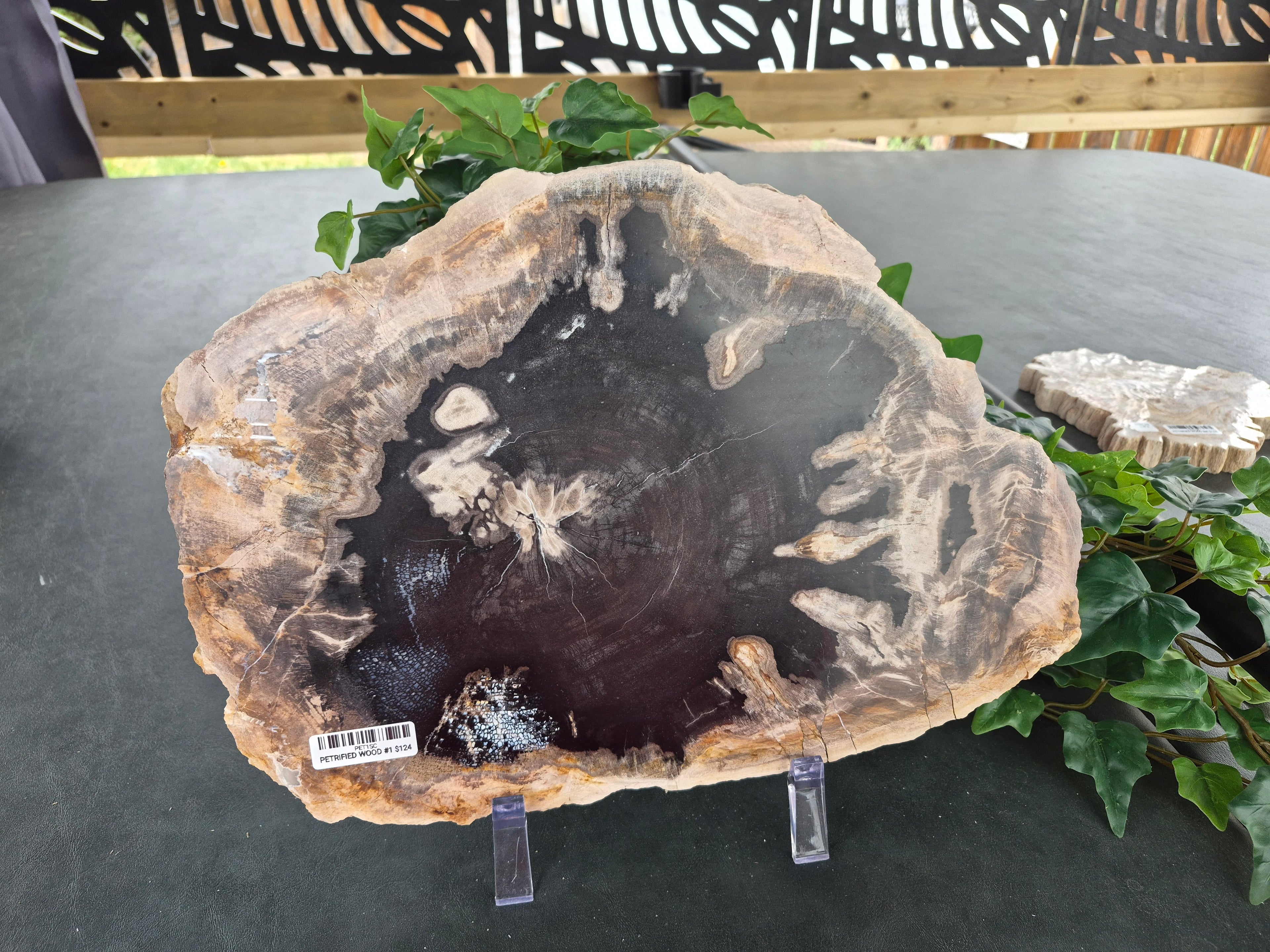 PETRIFIED WOOD SLAB #4