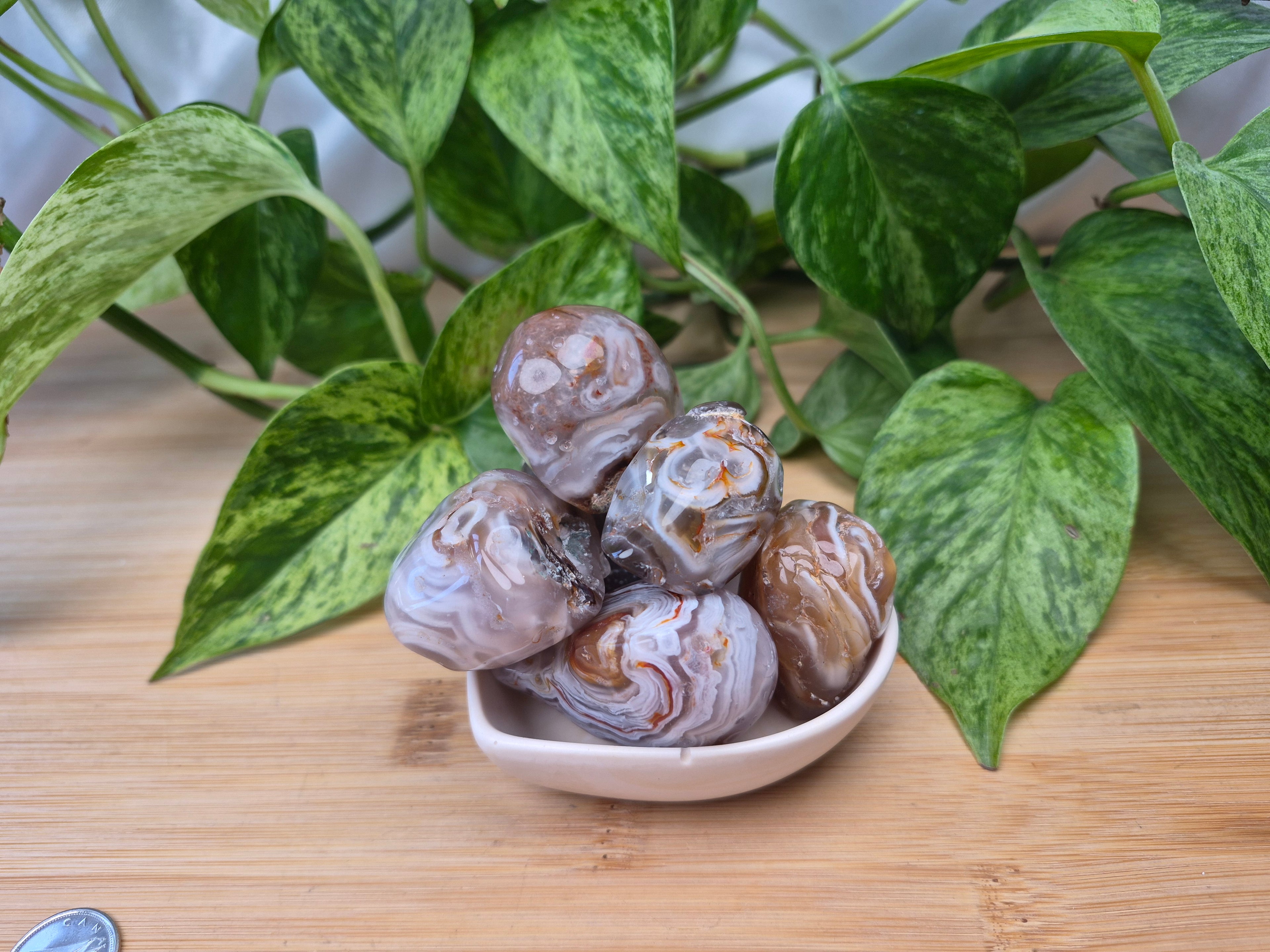 ENHYDRO AGATE SIZE SM (25-49G)