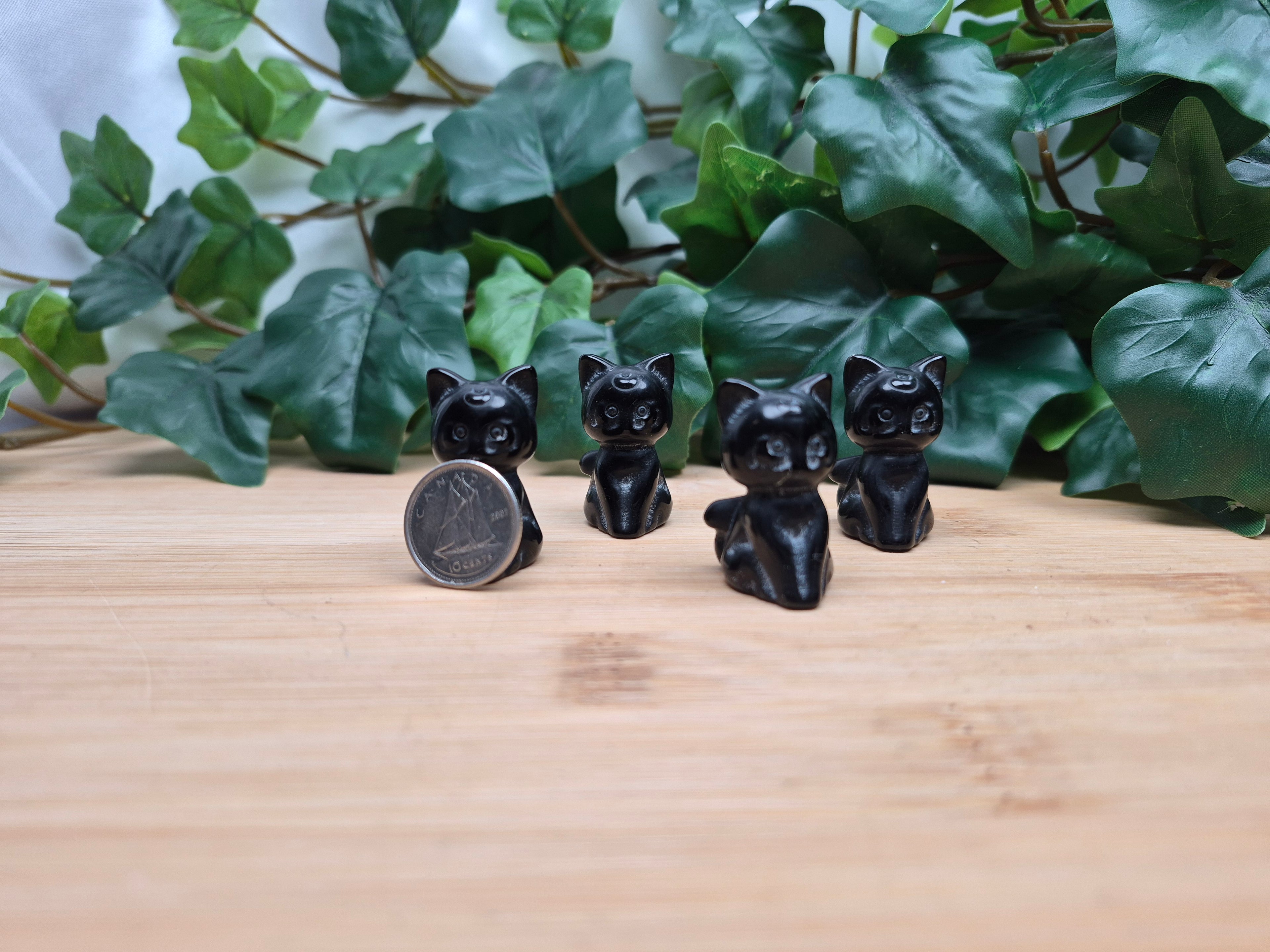 OBSIDIAN LUNA CAT