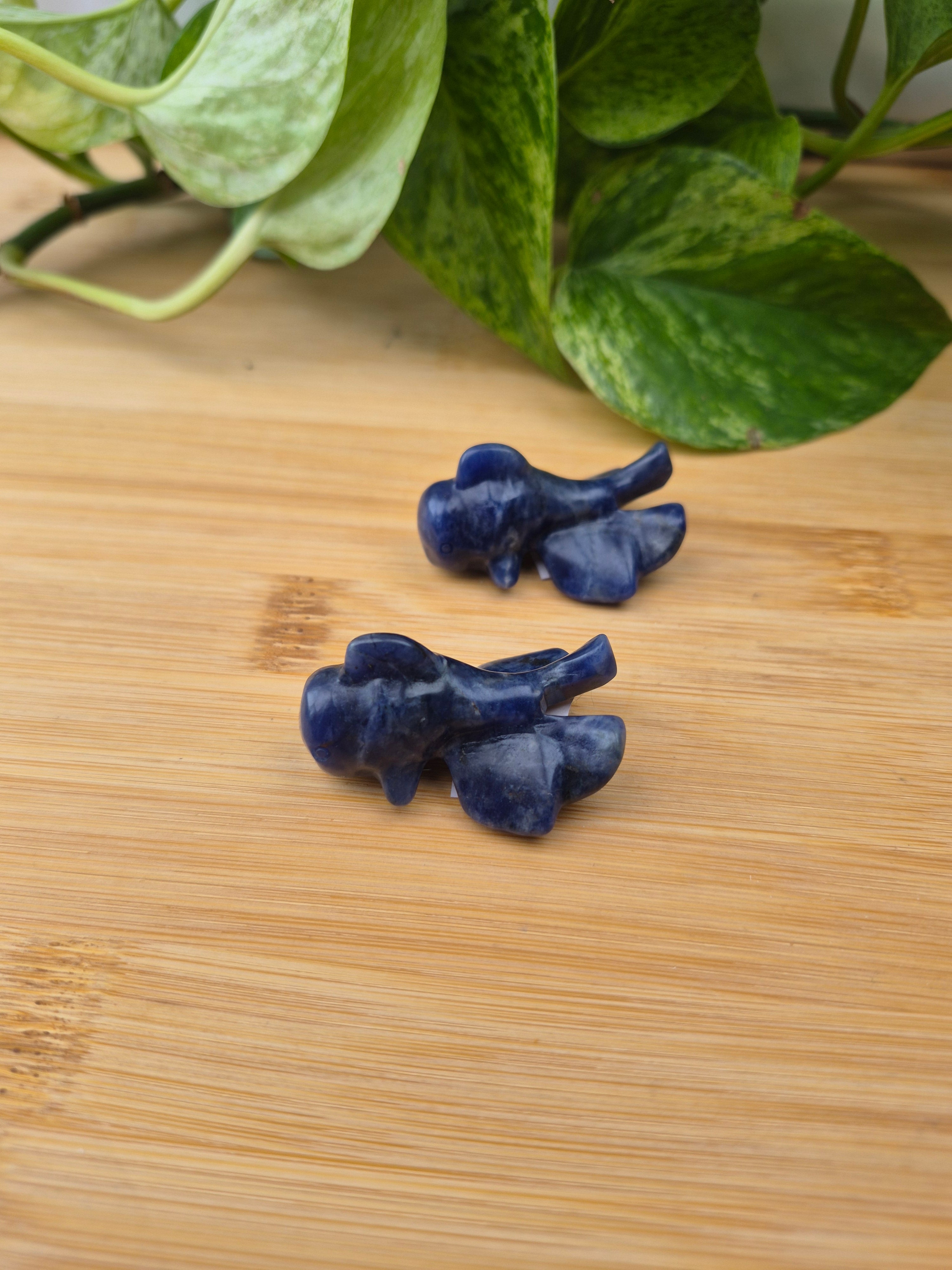 SODALITE GOLDFISH