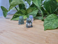 MIXED CRYSTAL CHUBBY DINOSAUR SM