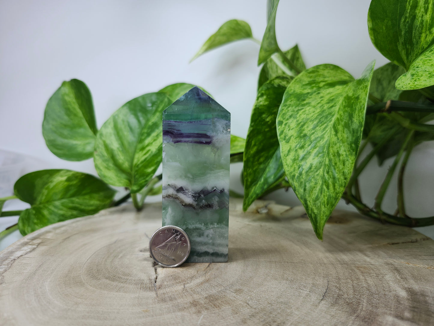 FEATHER FLUORITE TOWER