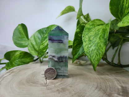 FEATHER FLUORITE TOWER