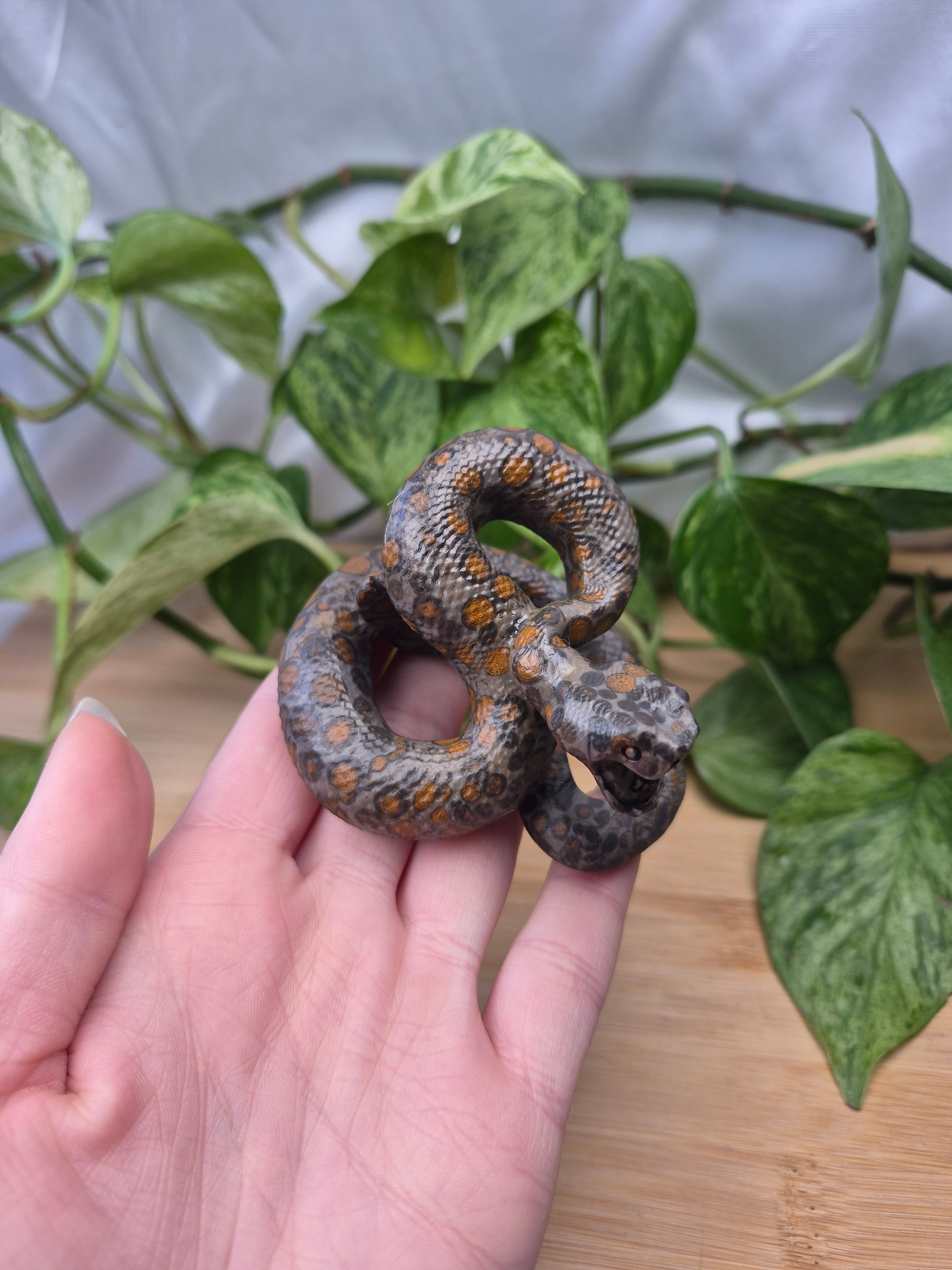 LEOPARDITE JASPER SNAKE