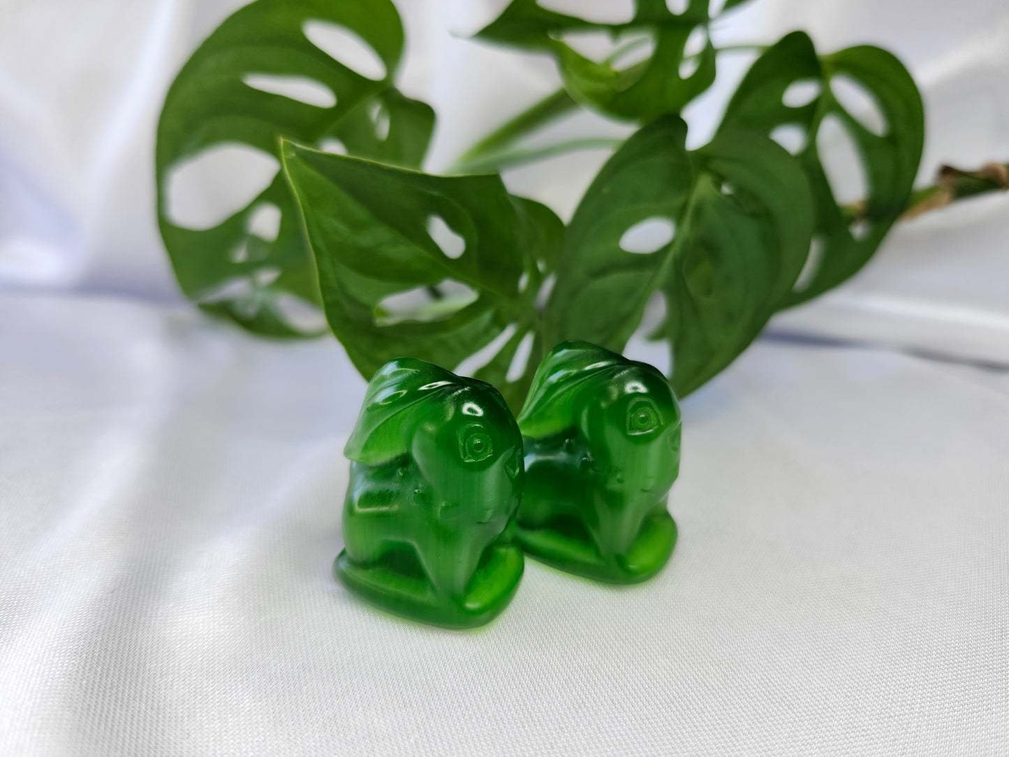 GREEN CAT'S EYE CHIKORITA