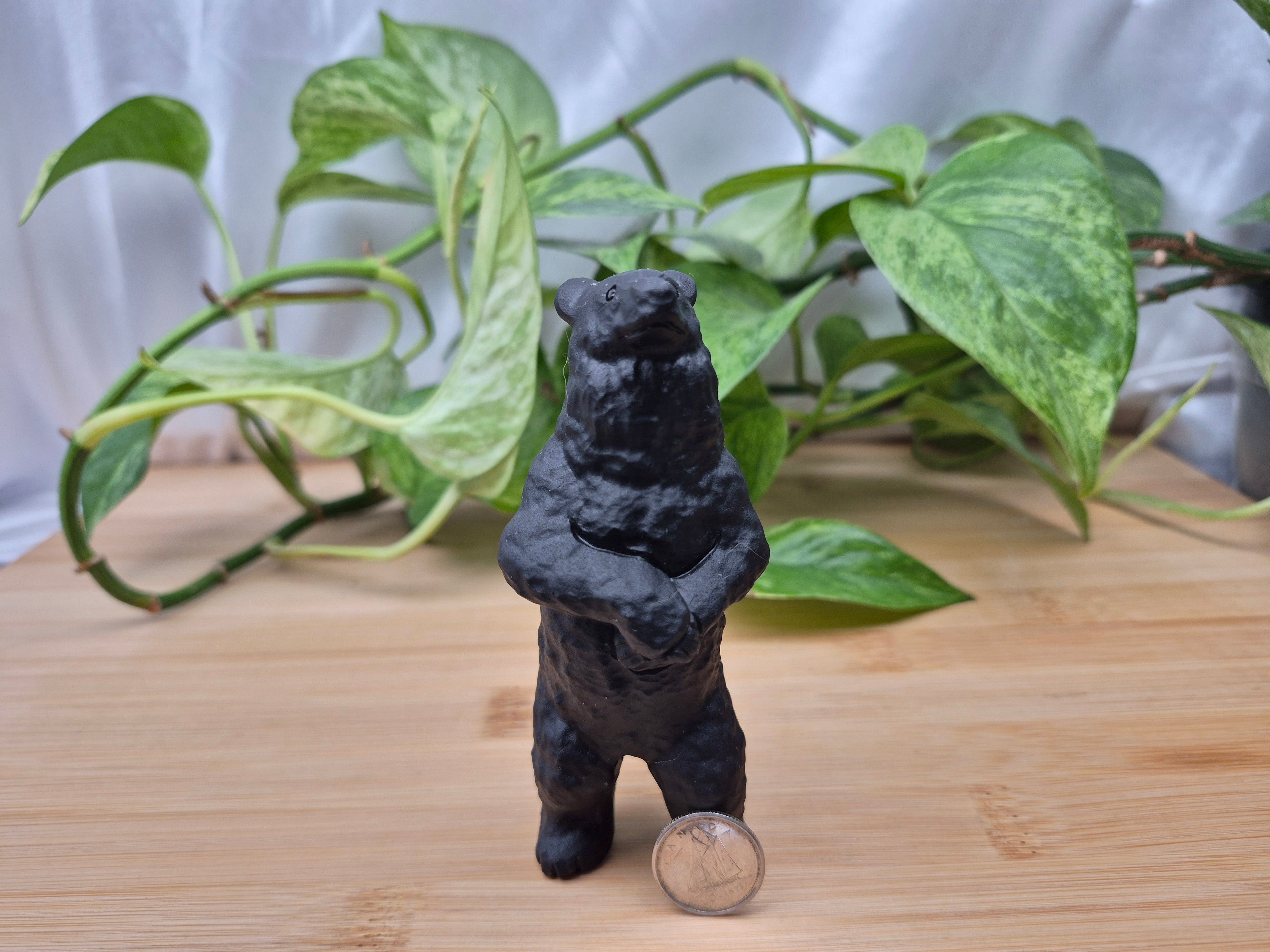 OBSIDIAN STANDING BEAR