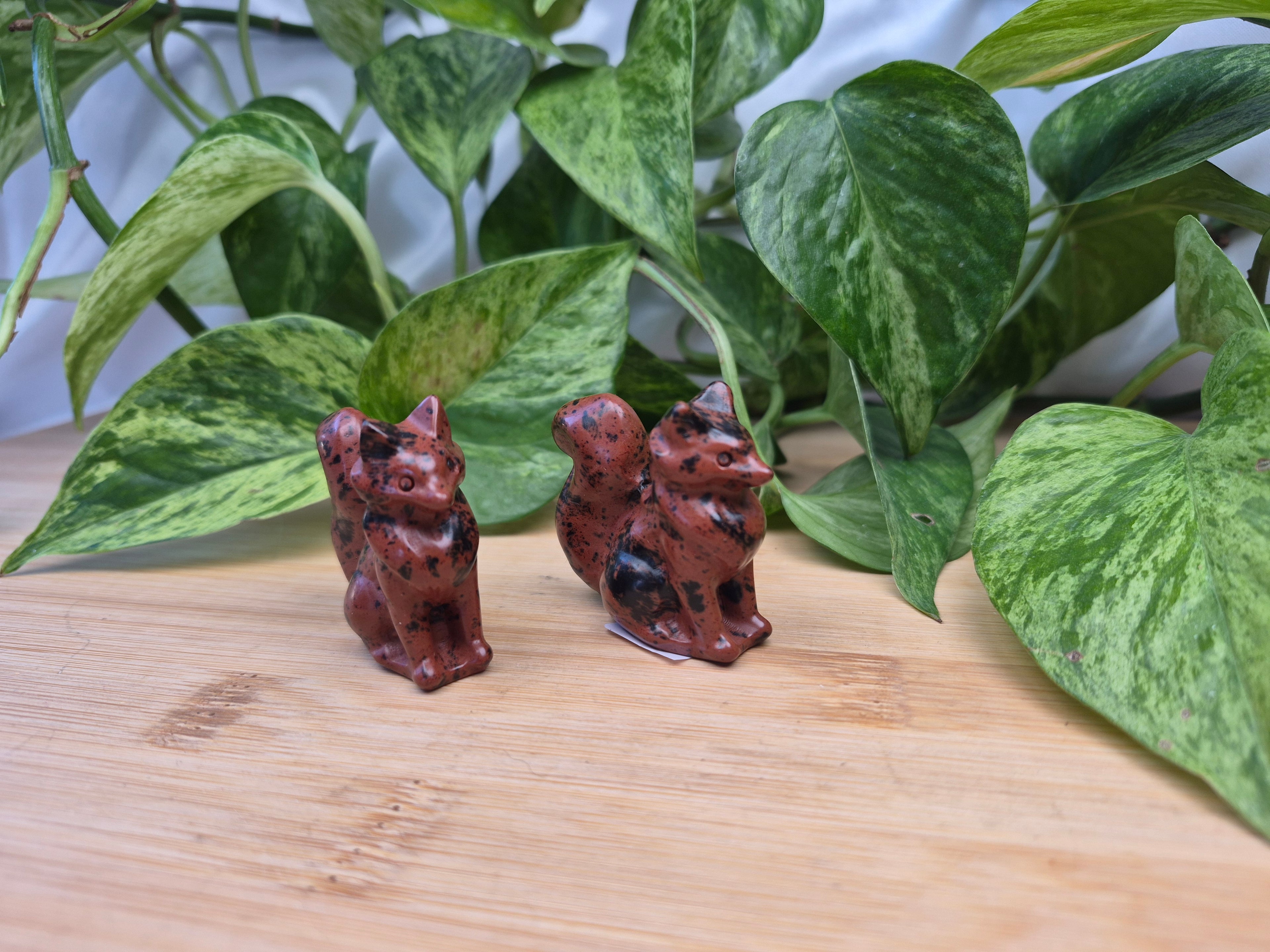 MAHOGANY OBSIDIAN FOX