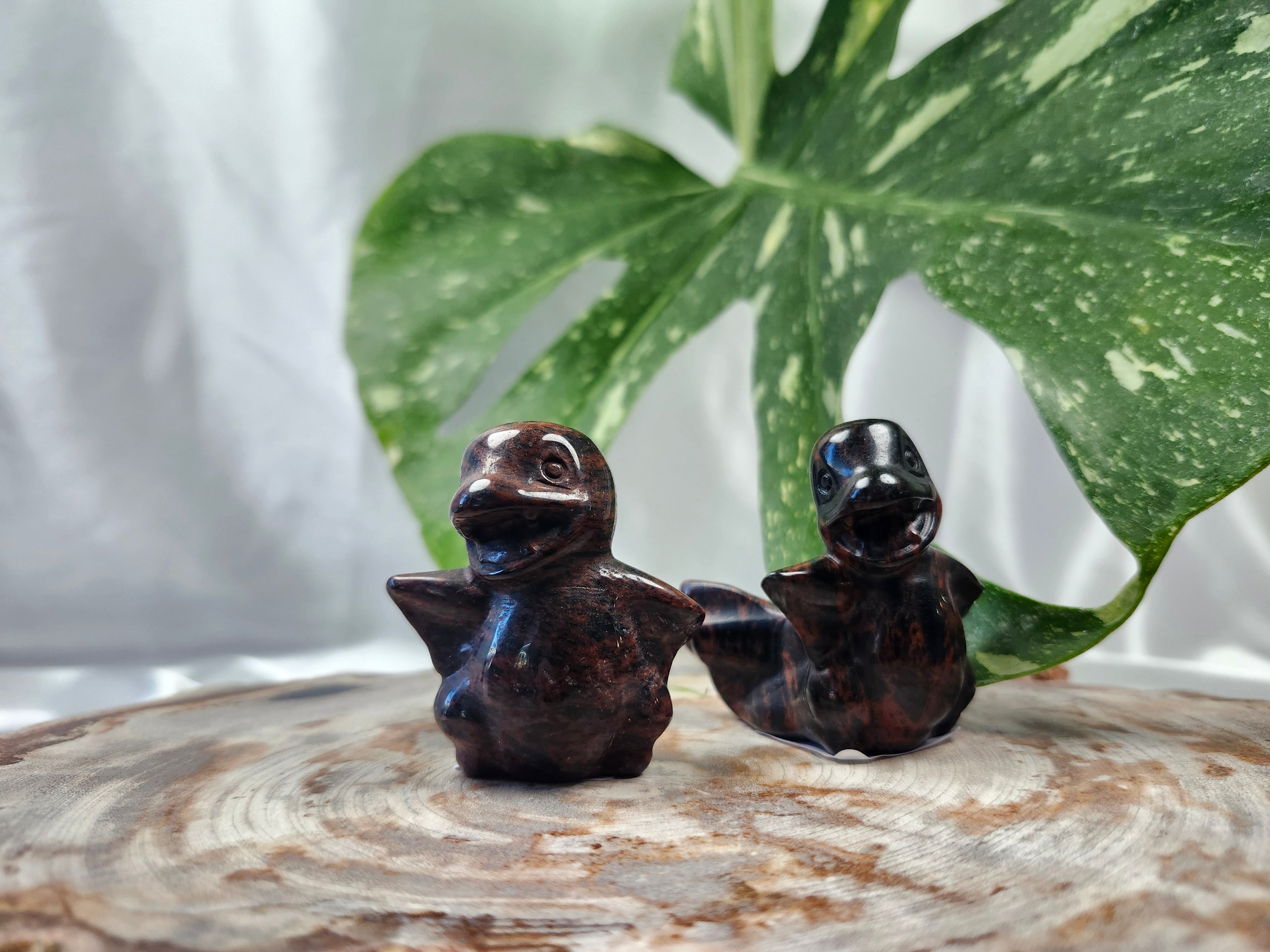 MAHOGANY OBSIDIAN CHARMANDER