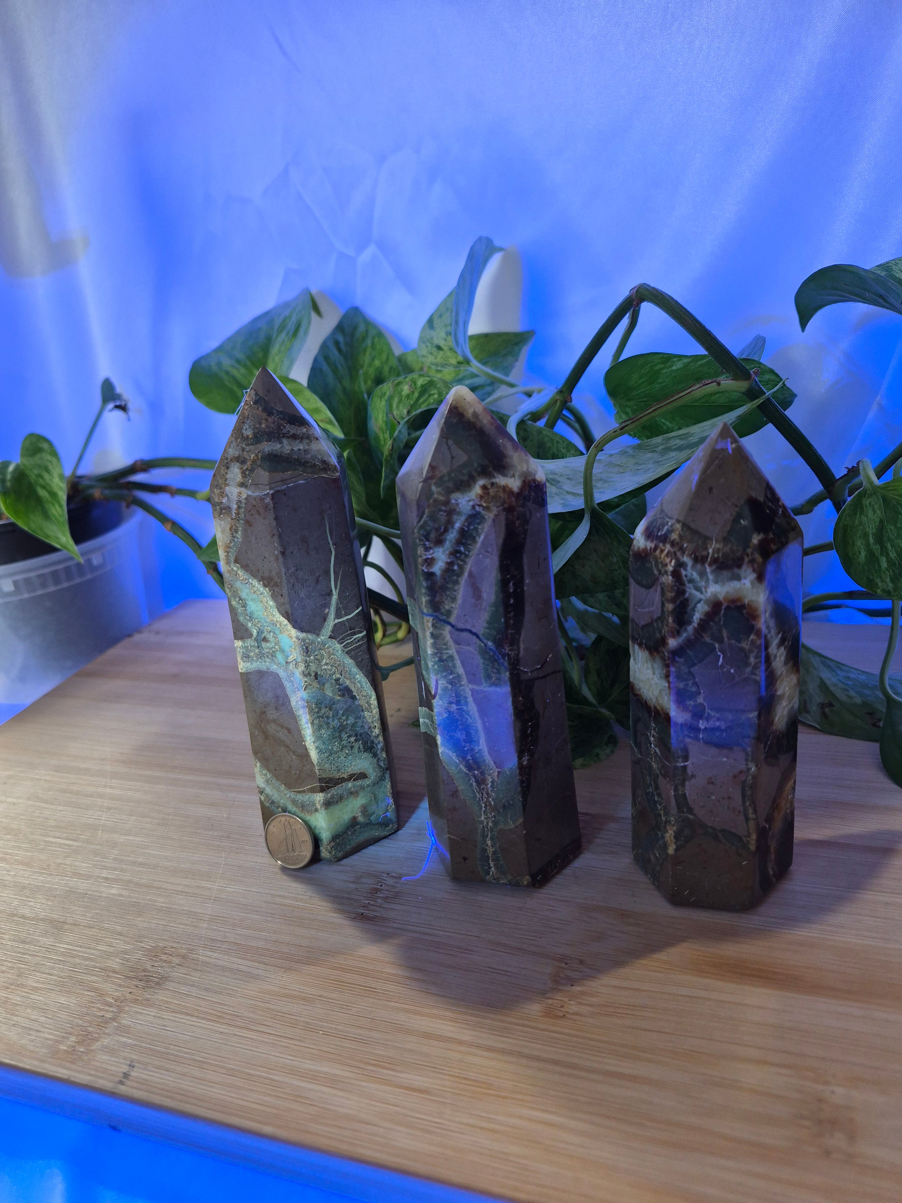 SEPTARIAN TOWER