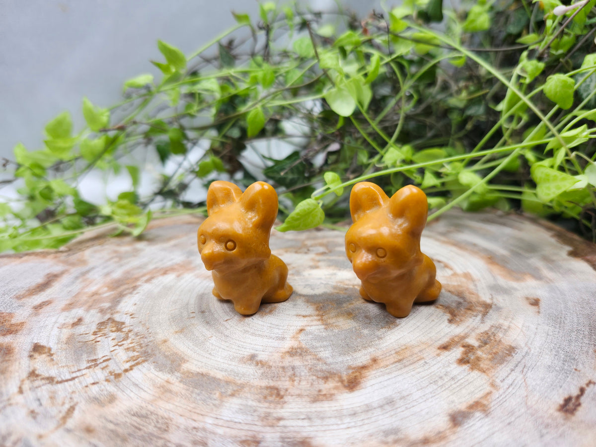 YELLOW JASPER CORGI