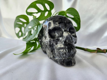 LARVAKITE SKULL