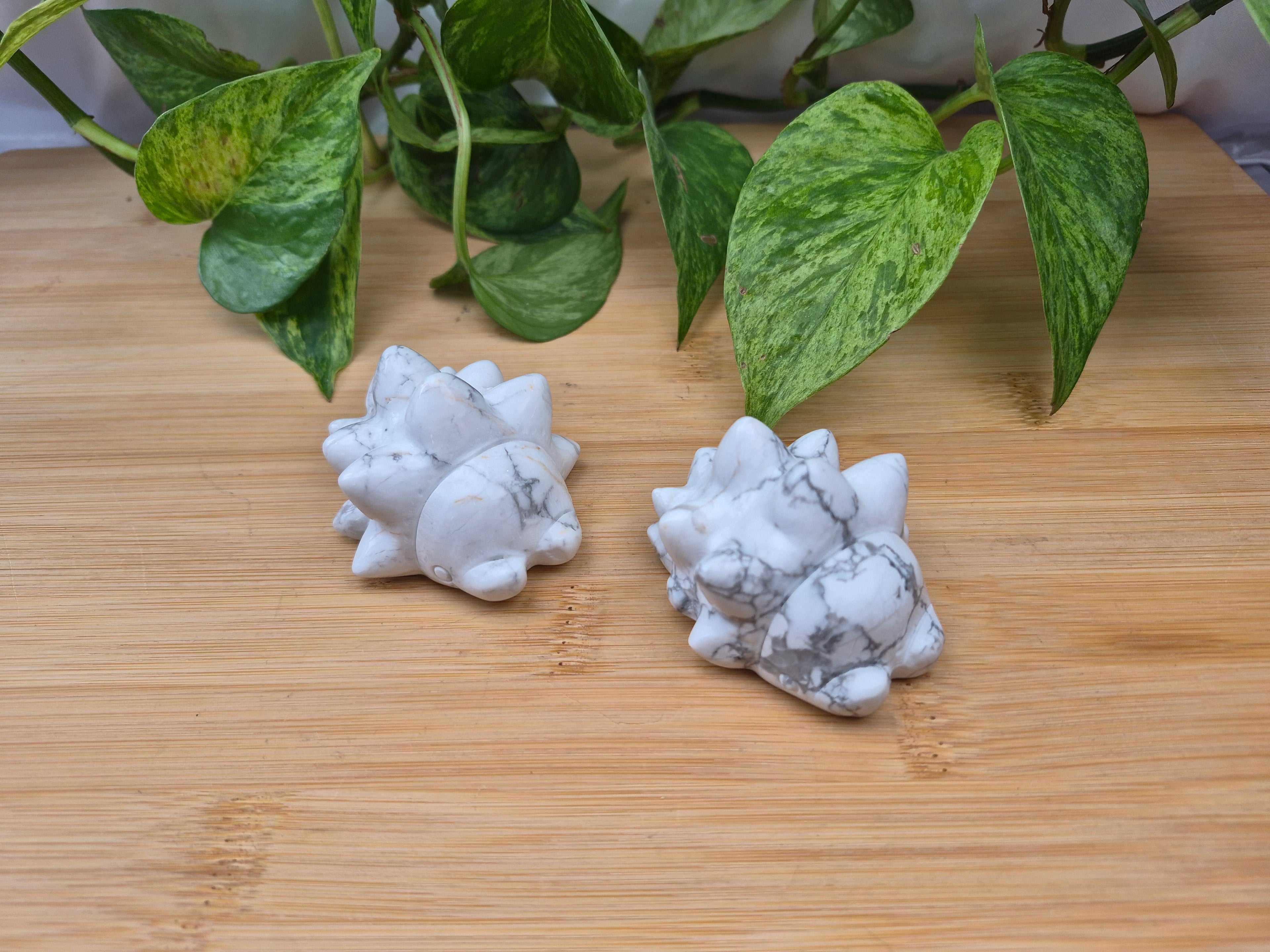 HOWLITE SNOM MD