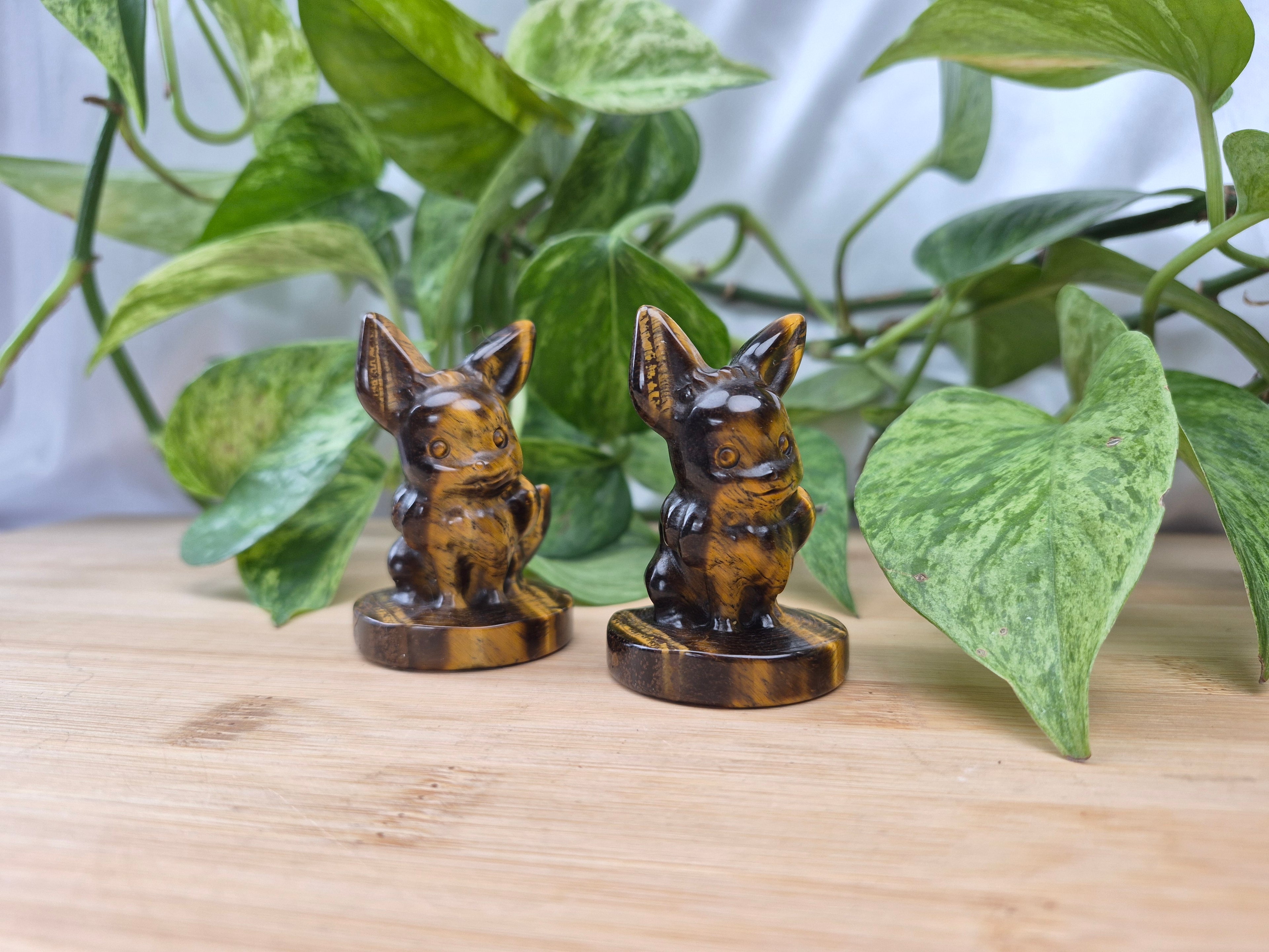 TIGERS EYE EEVEE MD