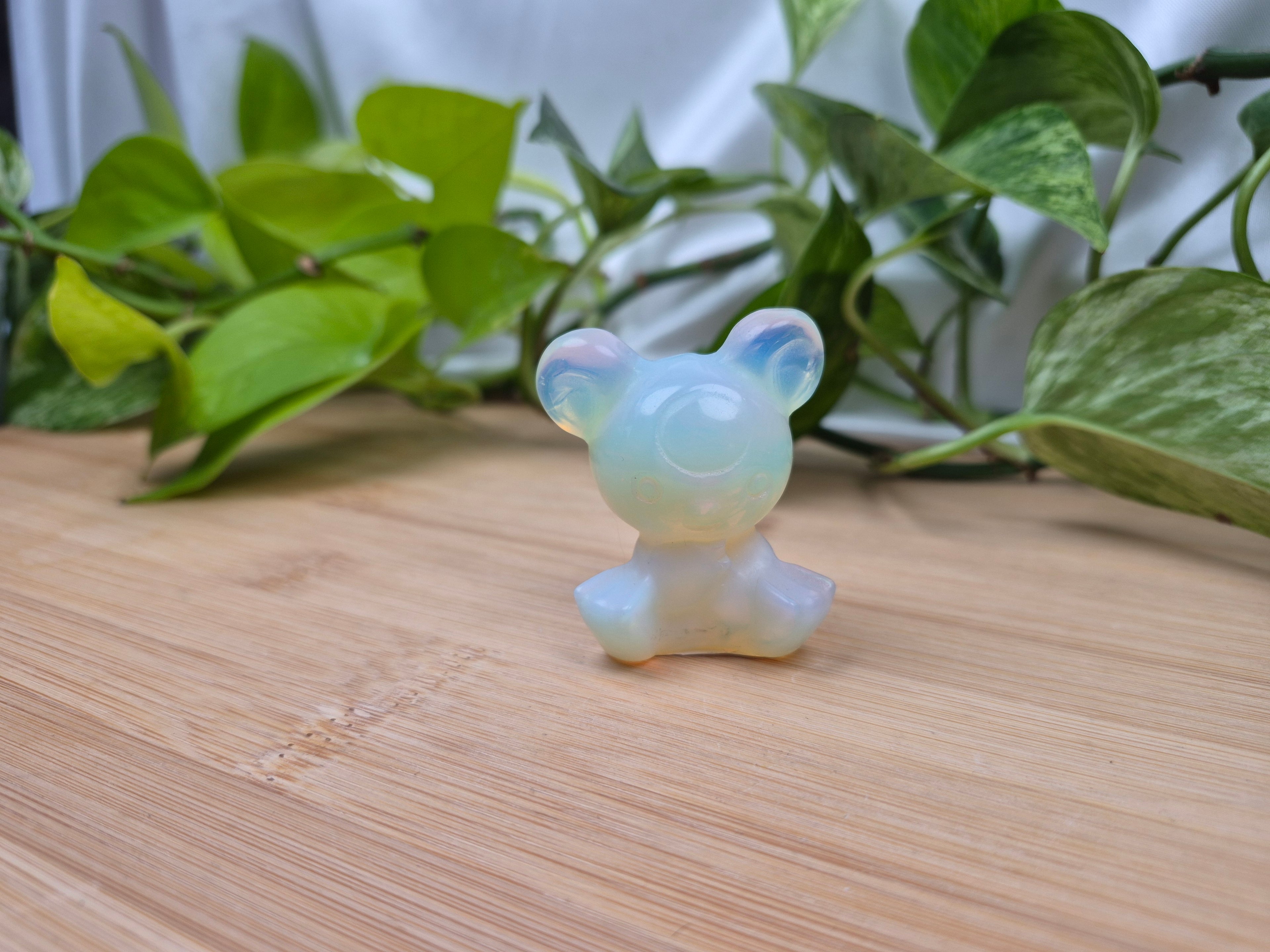 OPALITE TEDDIURSA