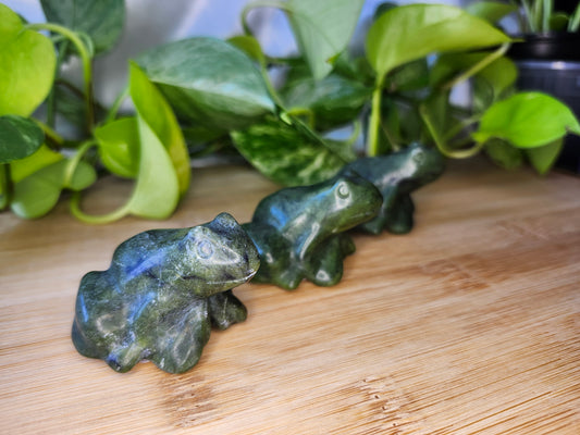 JADE FROG SM
