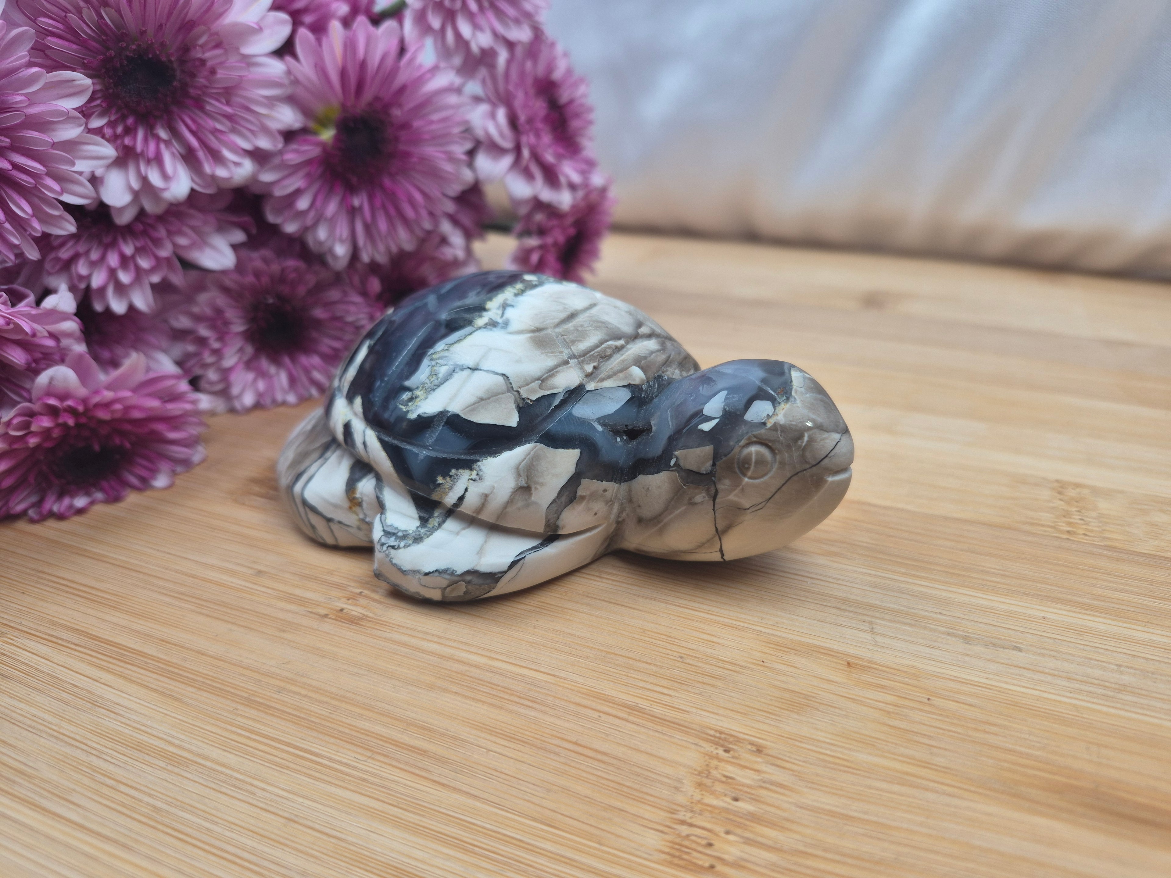 VOLCANO AGATE TURTLE