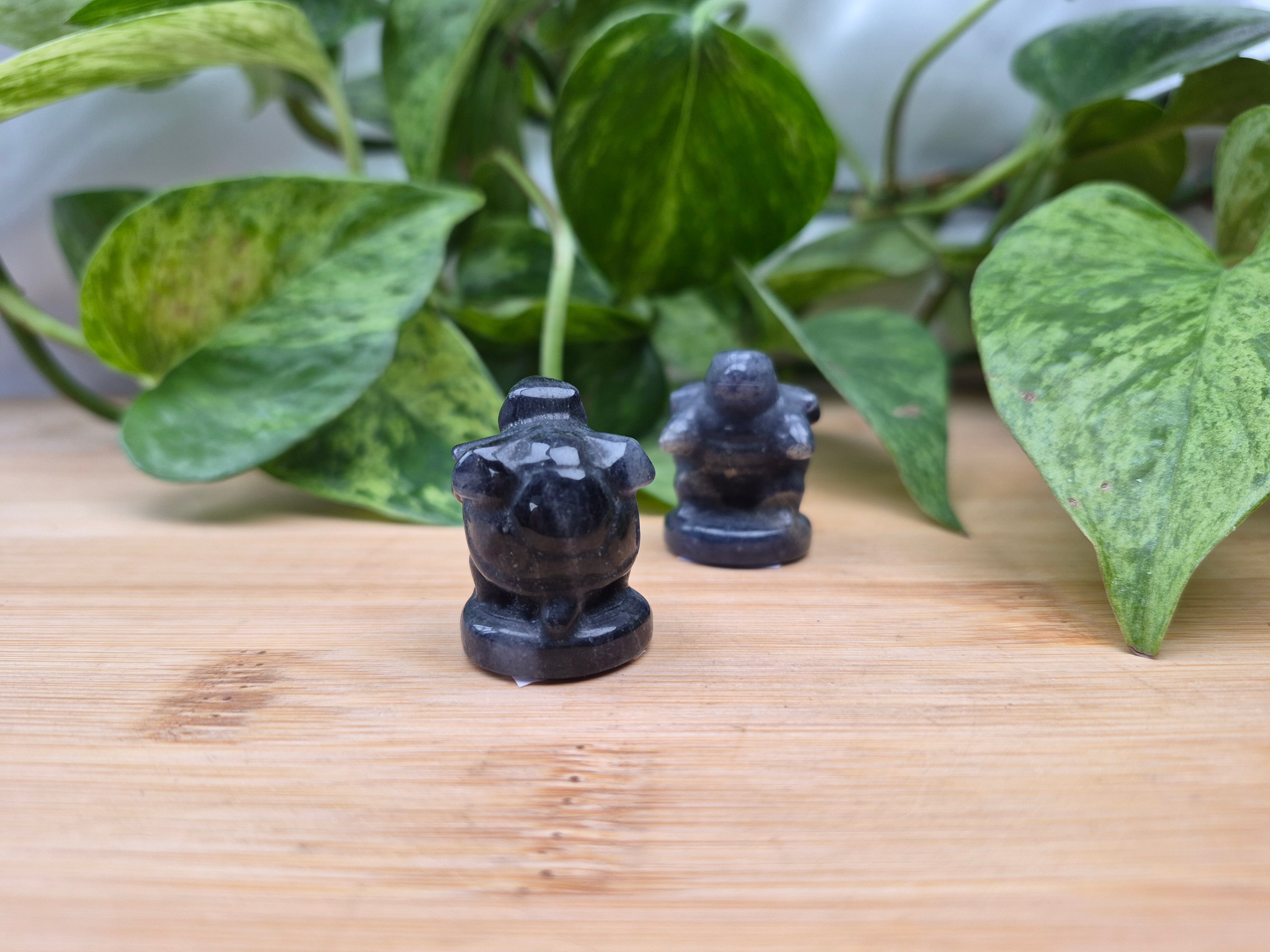 BLUE AVENTURINE BLASTOISE