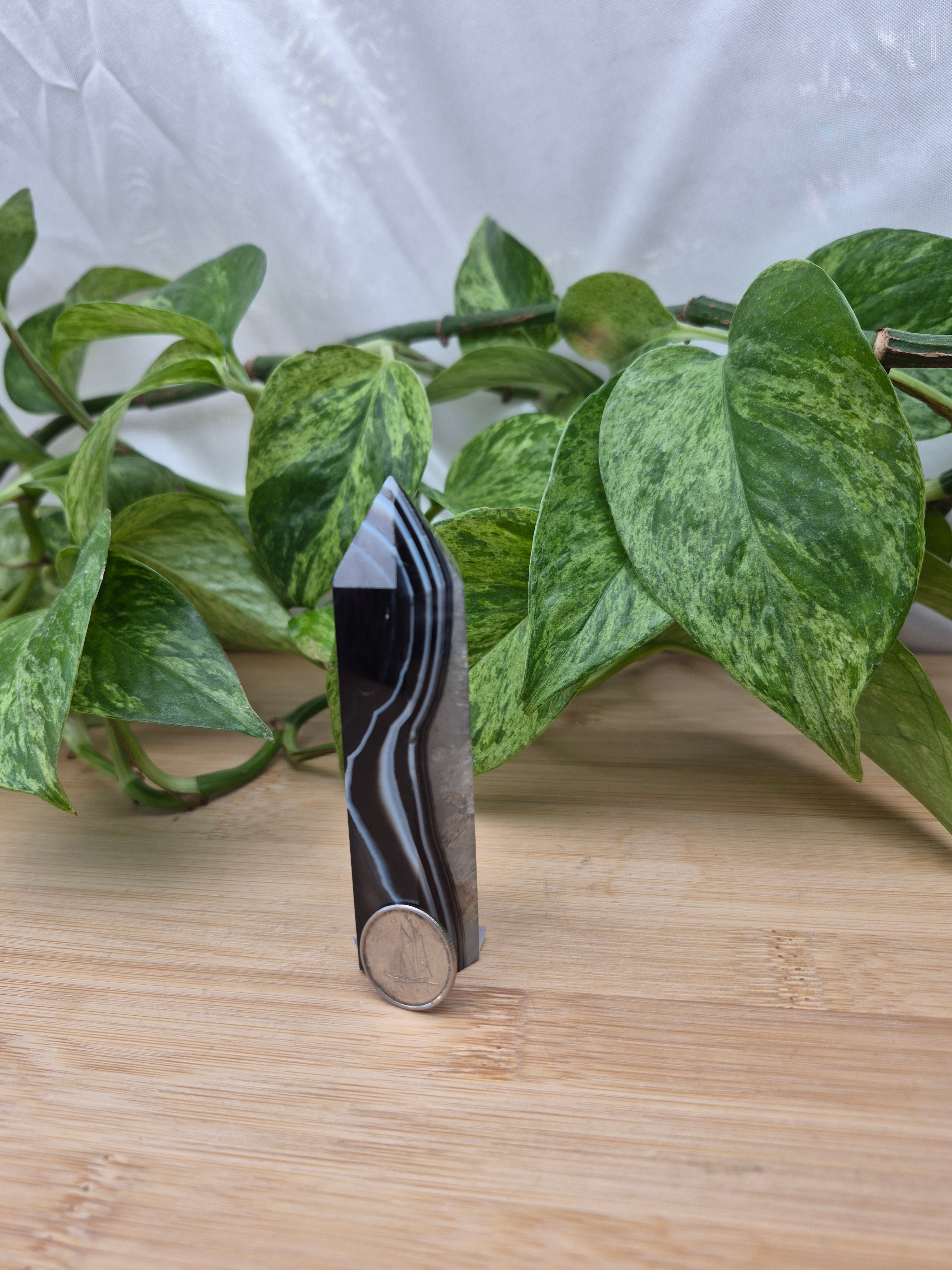 BLACK SARDONYX TOWER