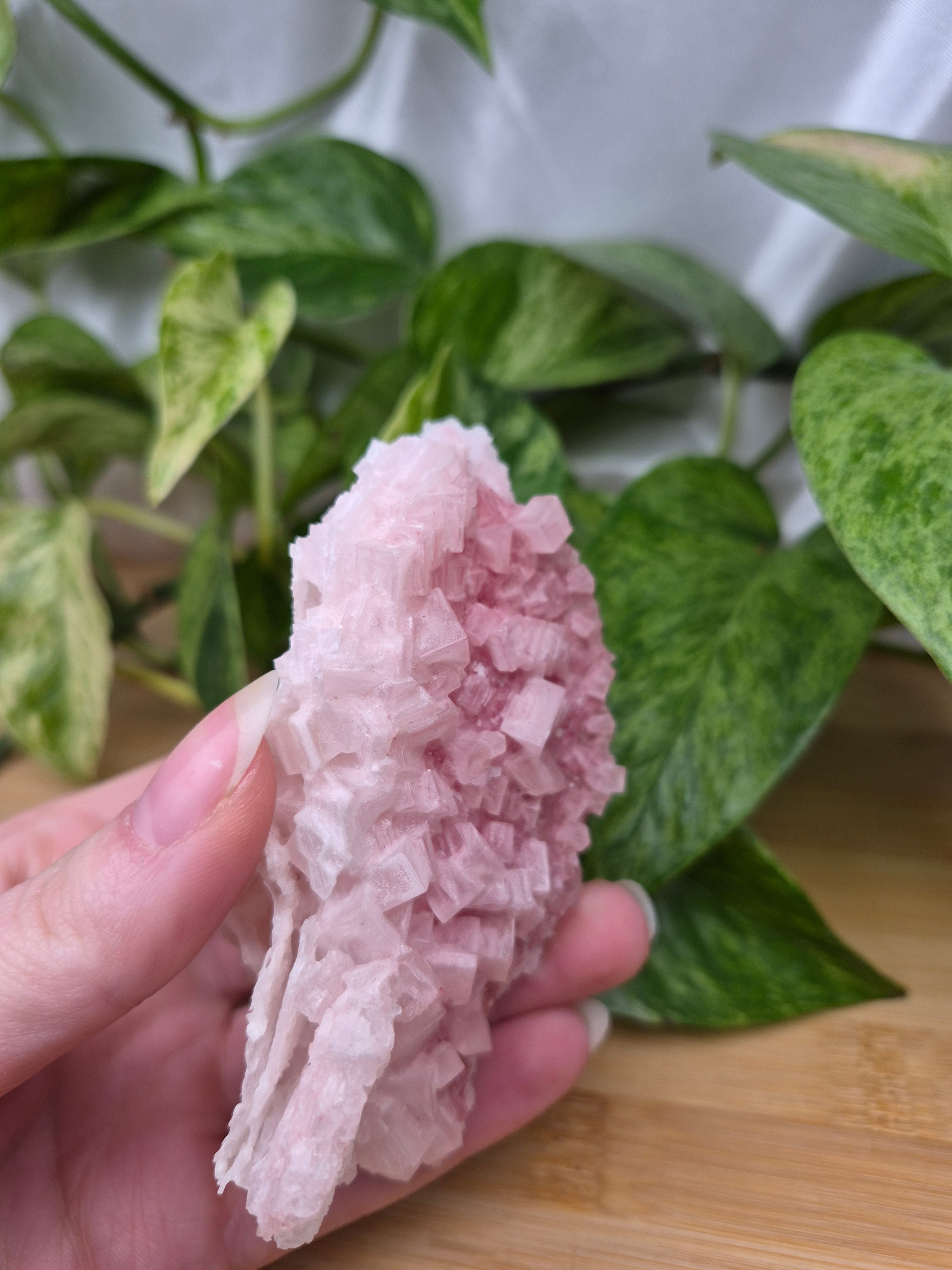 PINK HALITE SPECIMEN