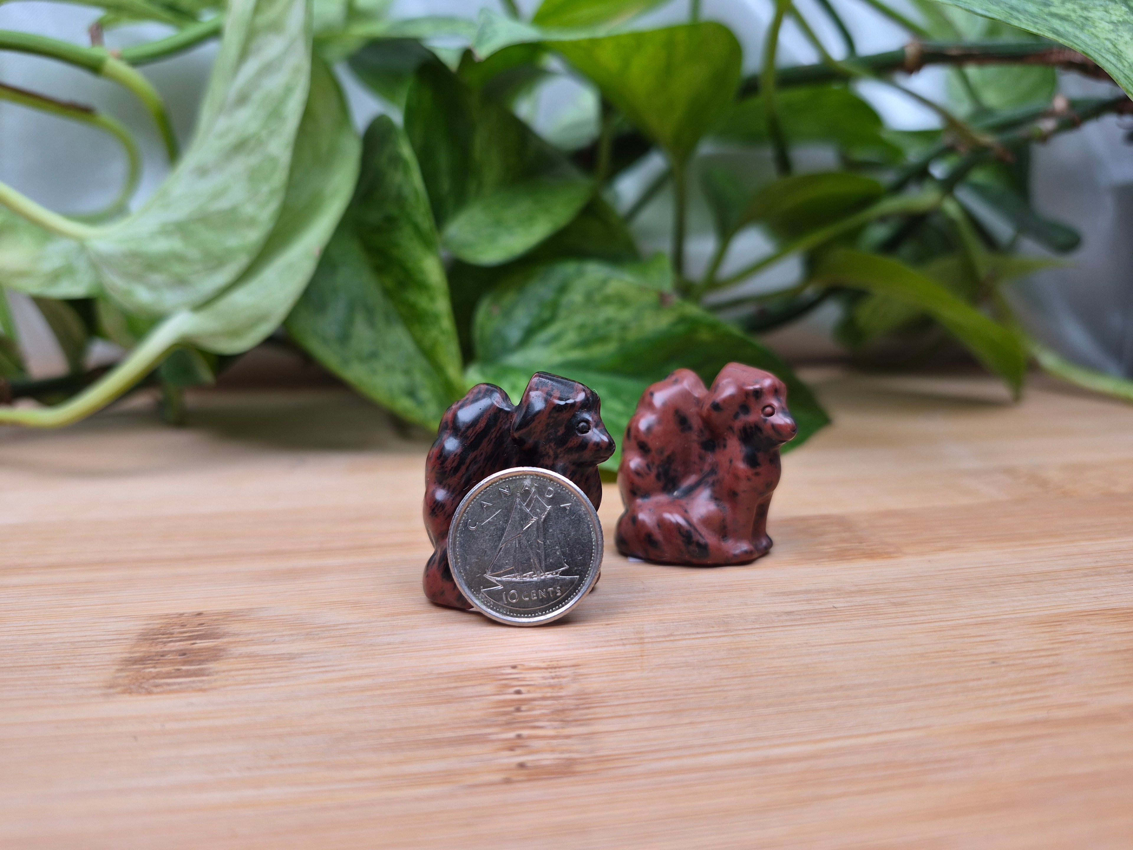MAHOGANY OBSIDIAN NINETALES