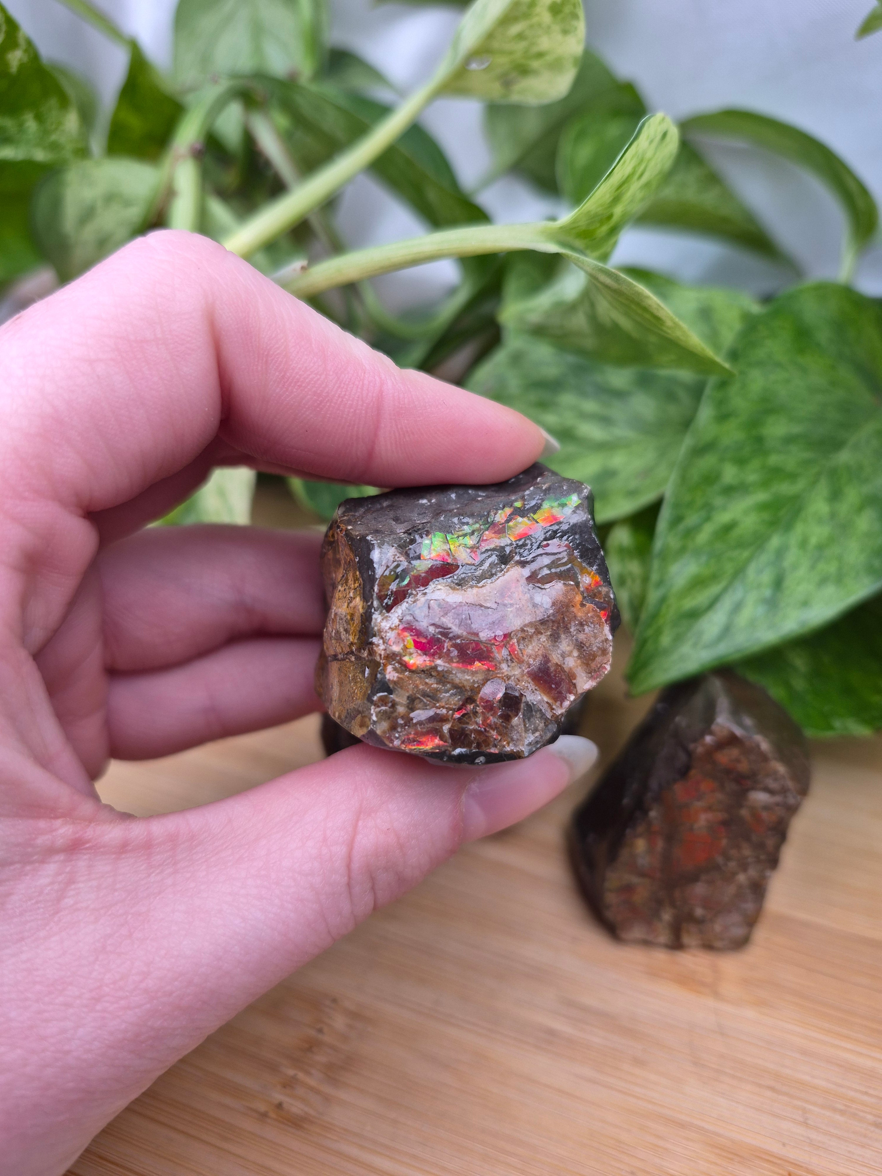 AMMOLITE ROUGH CHUNK