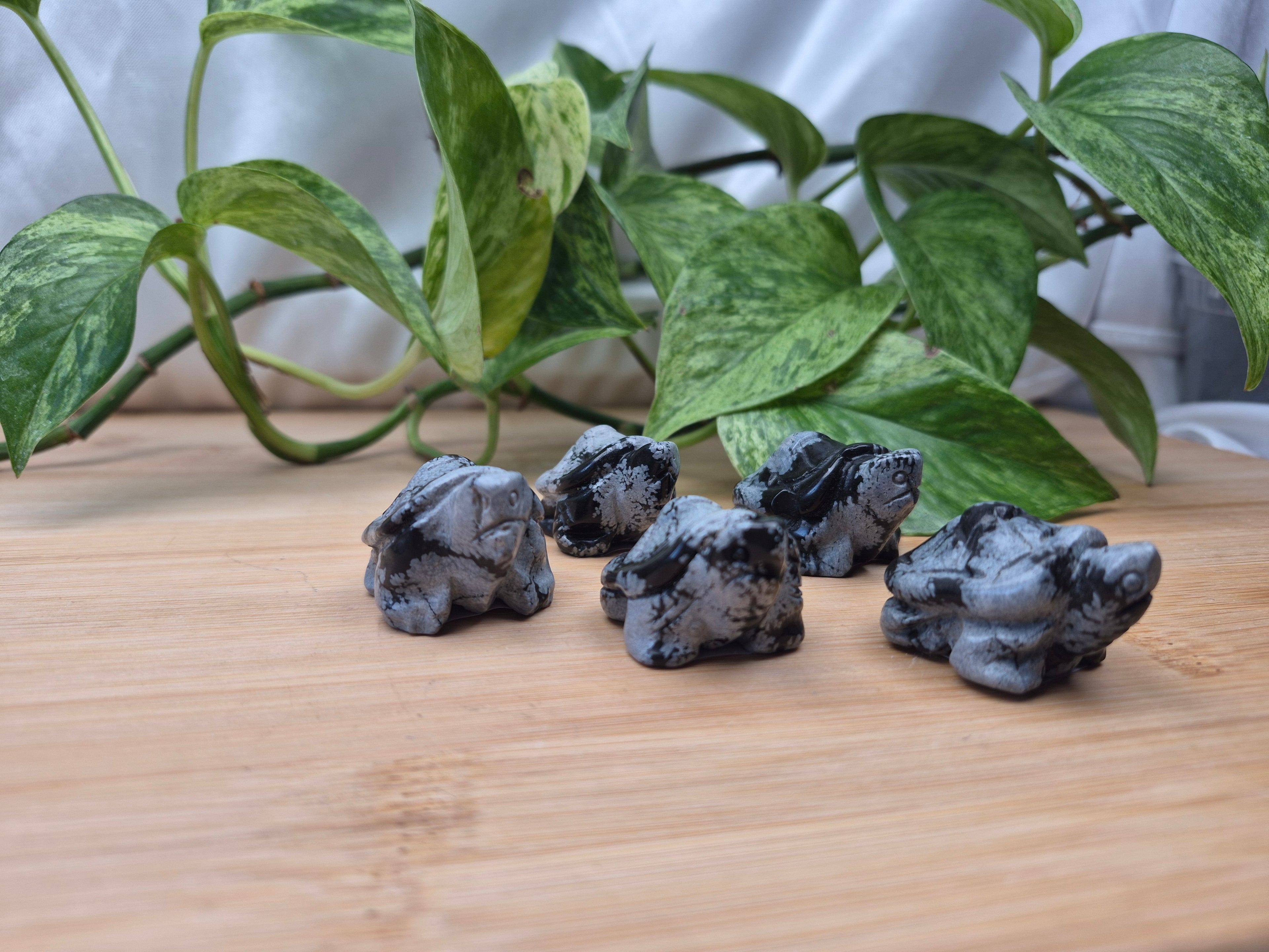 SNOWFLAKE OBSIDIAN TURTLE