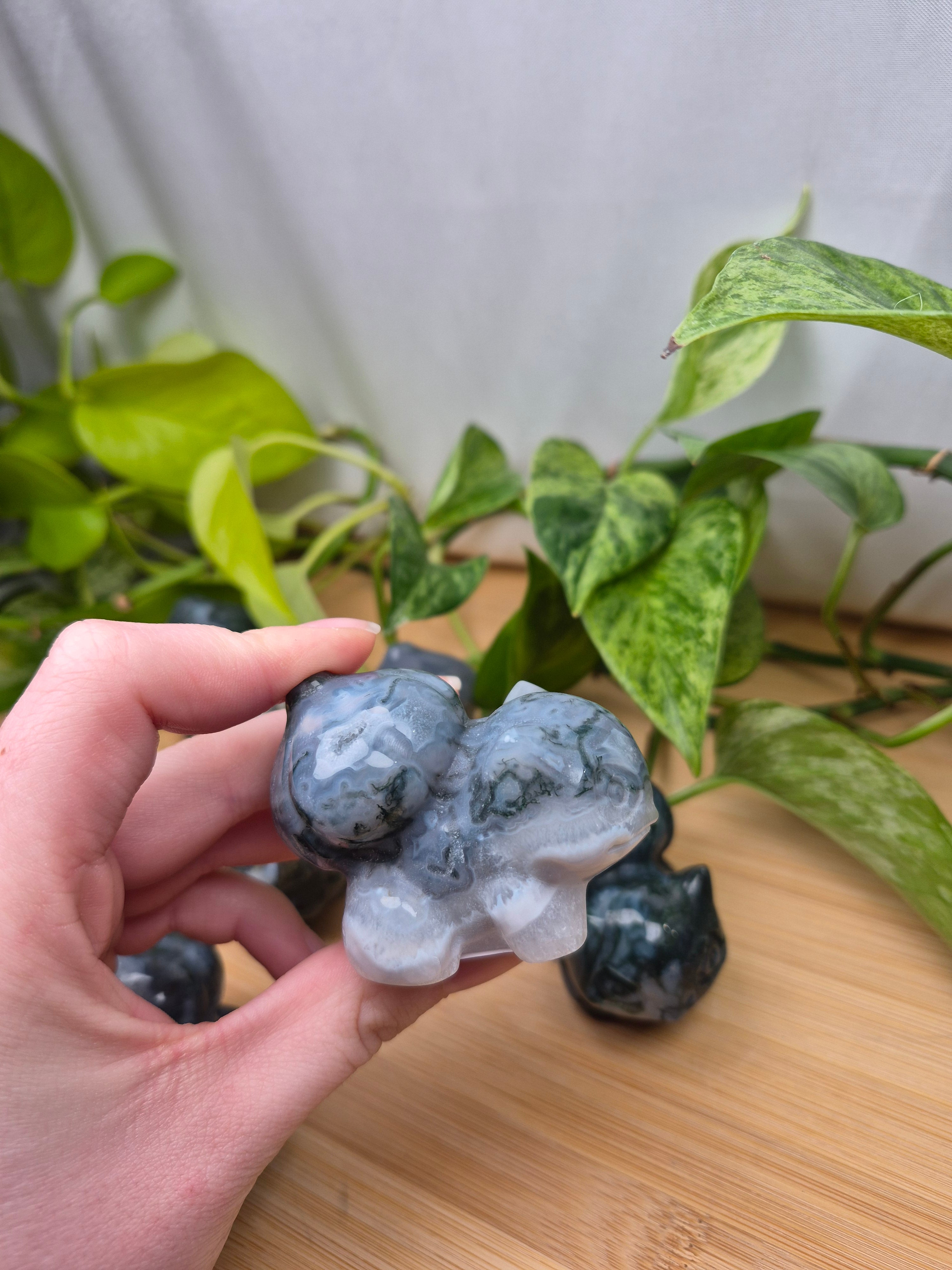 MOSS AGATE BULBASAUR LG