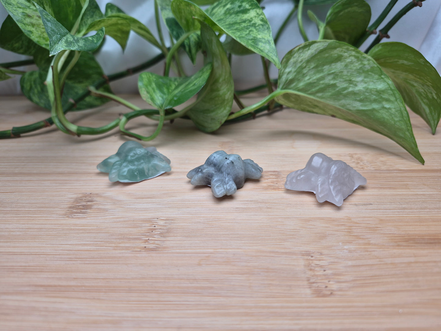 MIXED CRYSTAL SPIDER