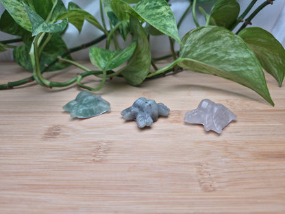 MIXED CRYSTAL SPIDER