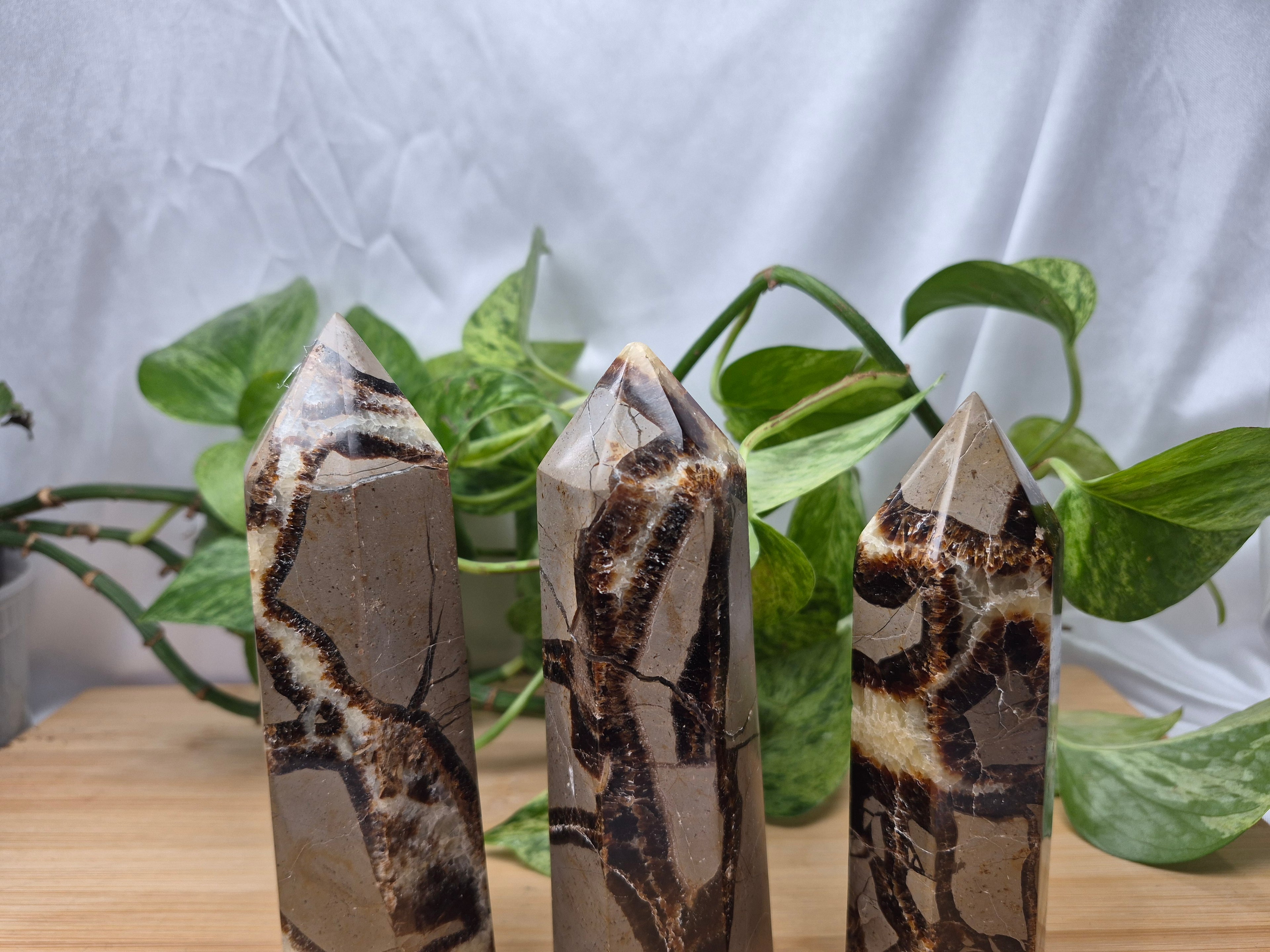 SEPTARIAN TOWER