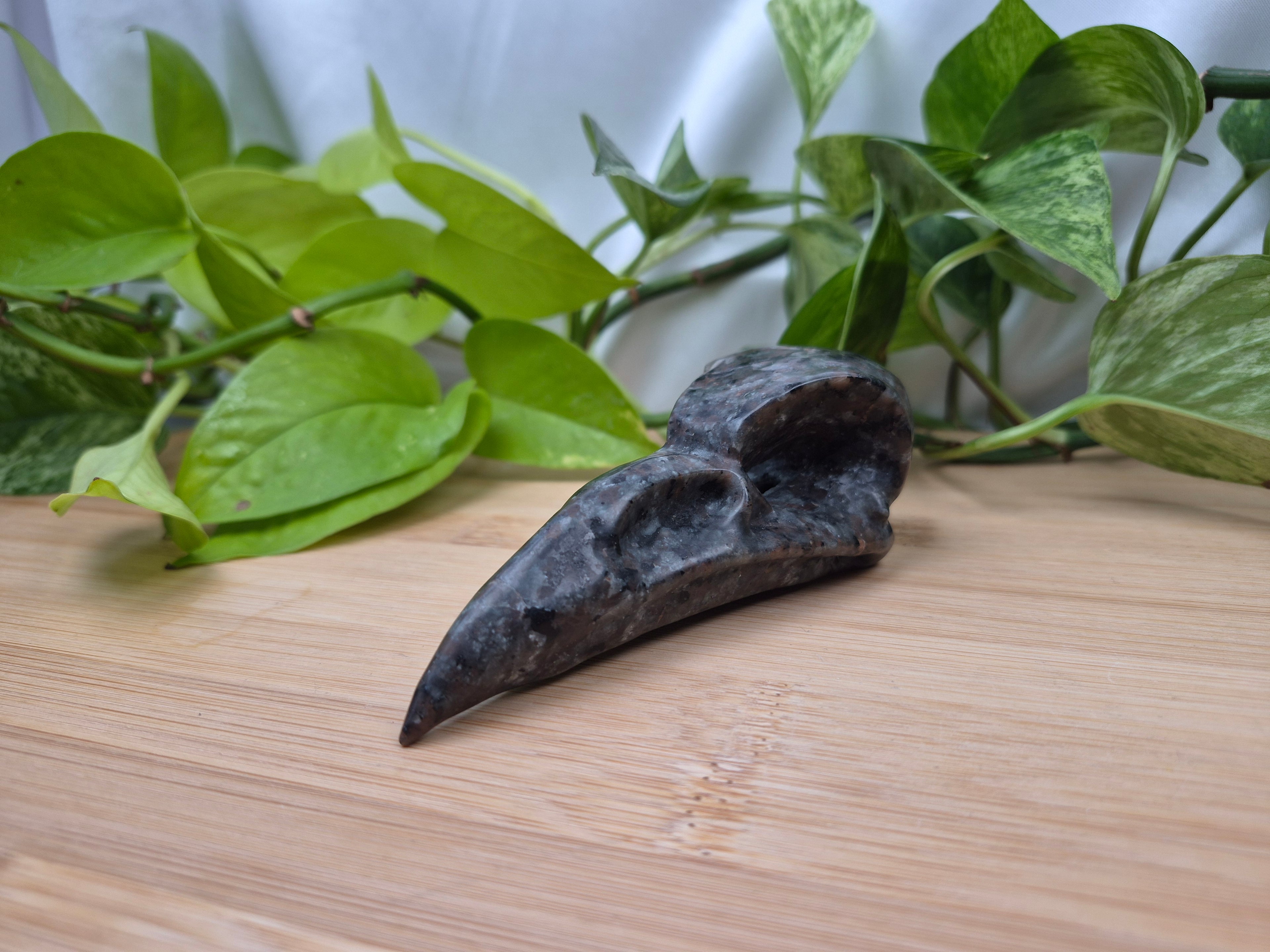 YOOPERLITE BIRD SKULL LARGE