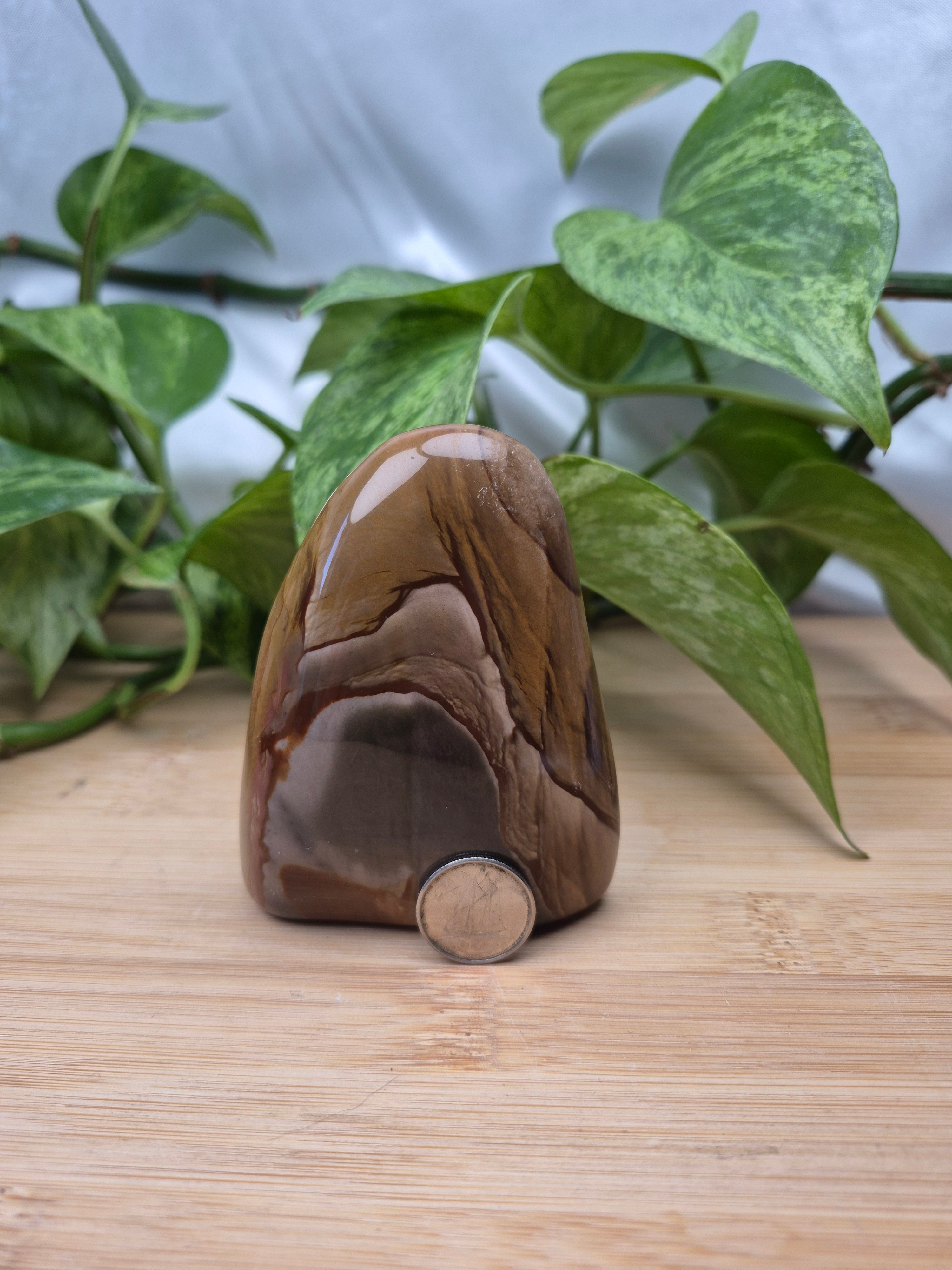 POLYCHROME JASPER FREEFORM