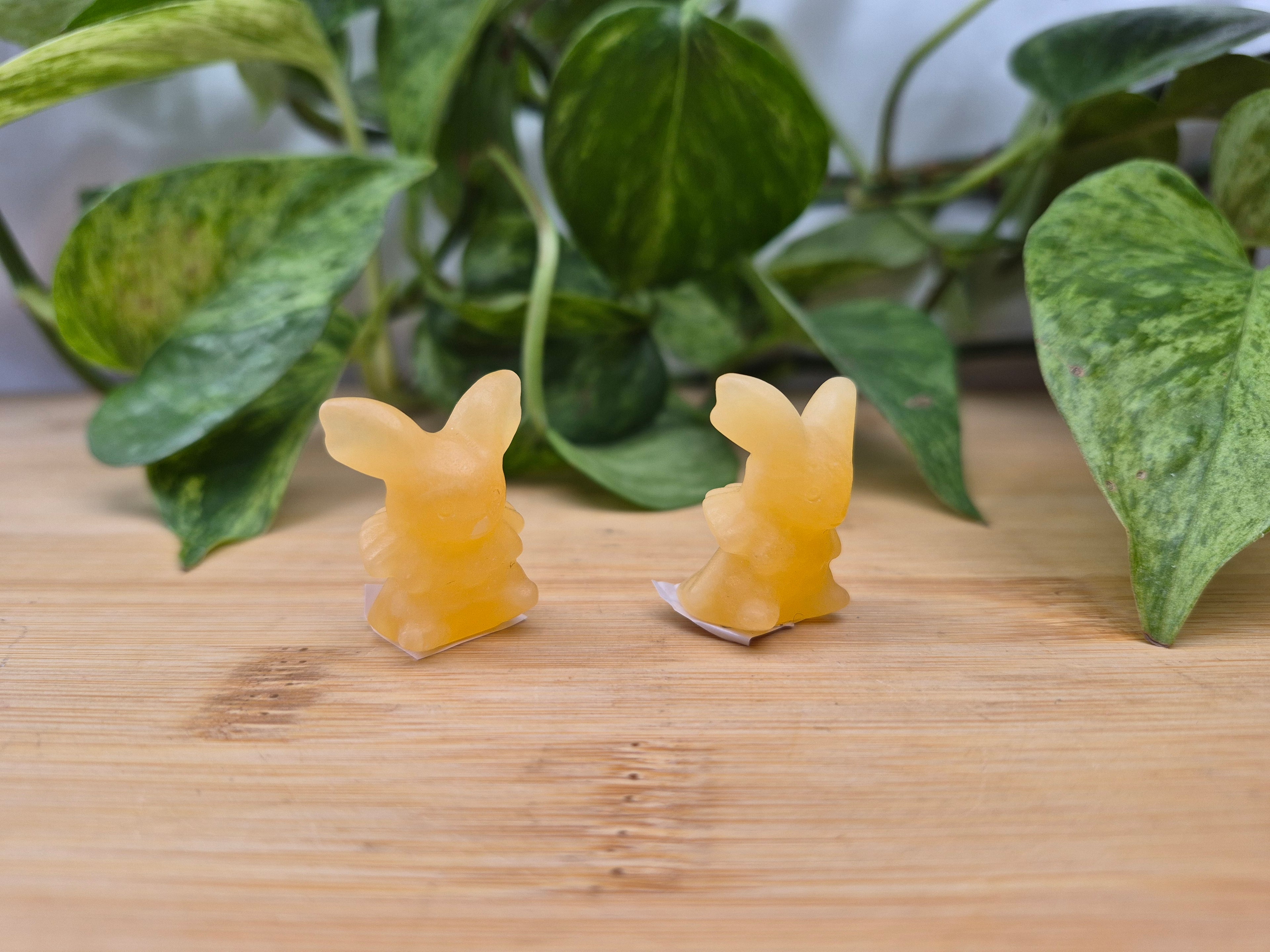 ORANGE CALCITE JOLTEON