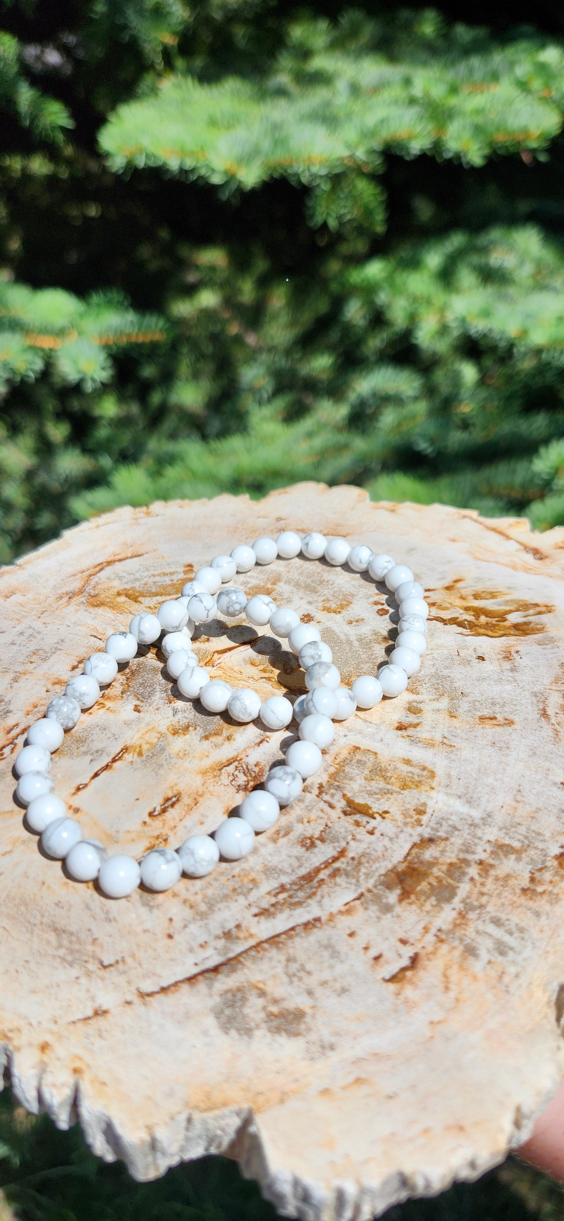 6mm HOWLITE BRACELET