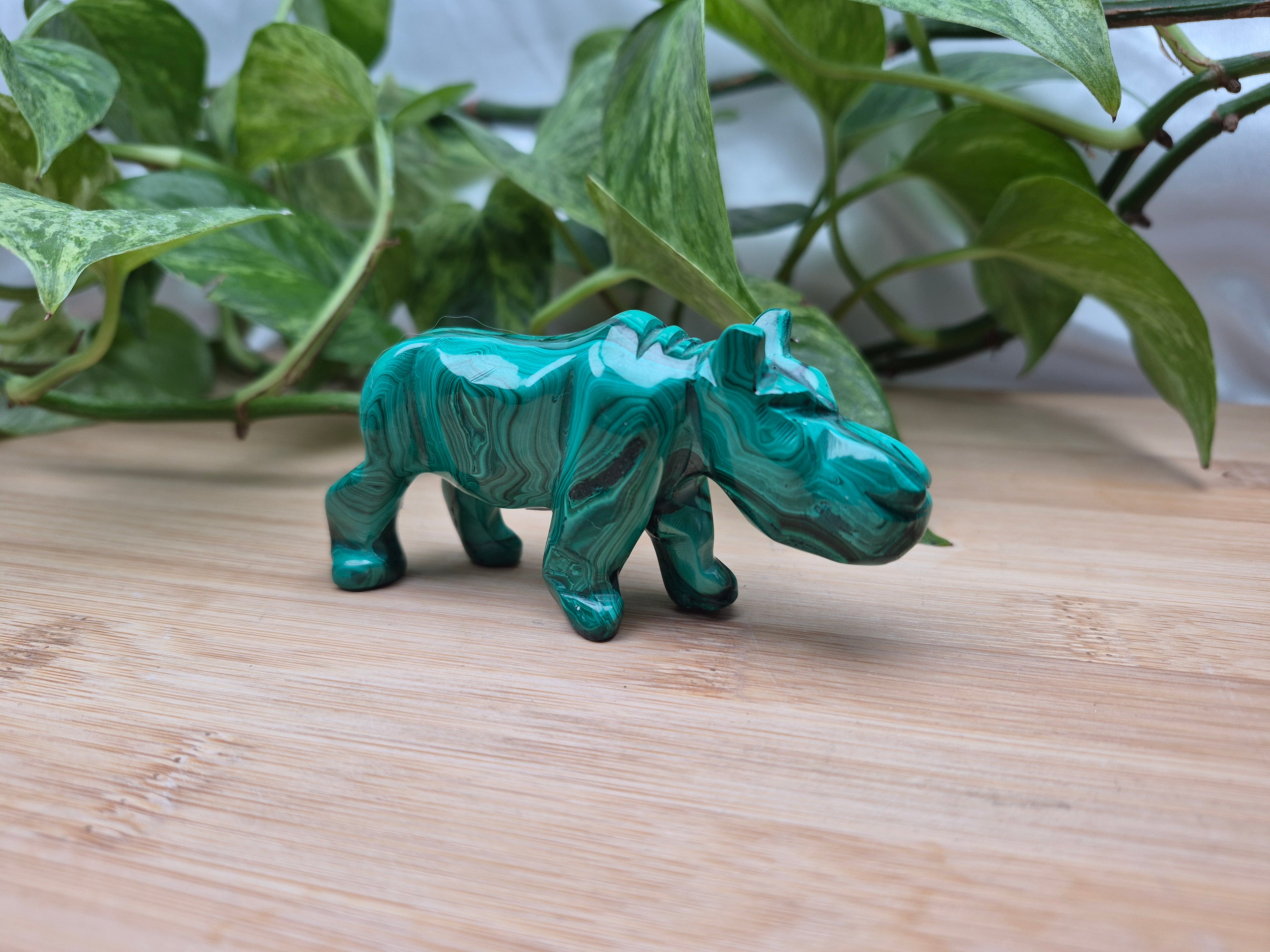 MALACHITE HIPPO