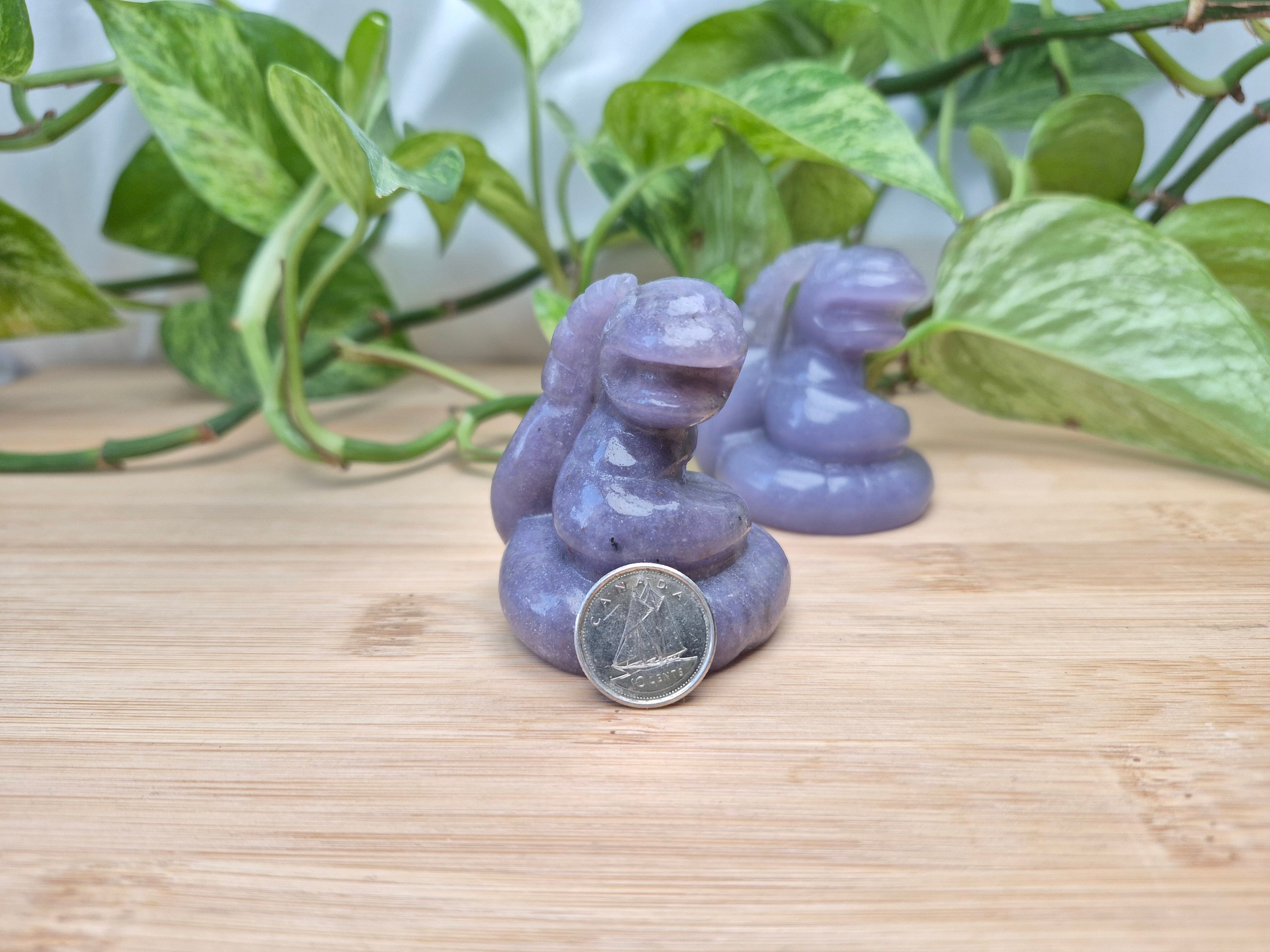 LEPIDOLITE EKANS LG