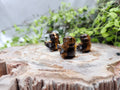 TIGERS EYE CHARMANDER