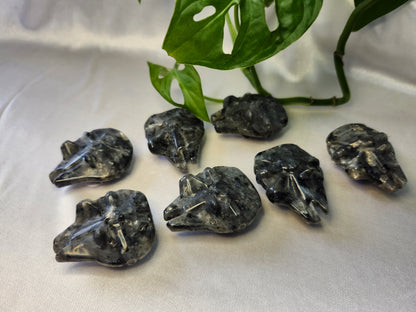 LARVIKITE FALCON
