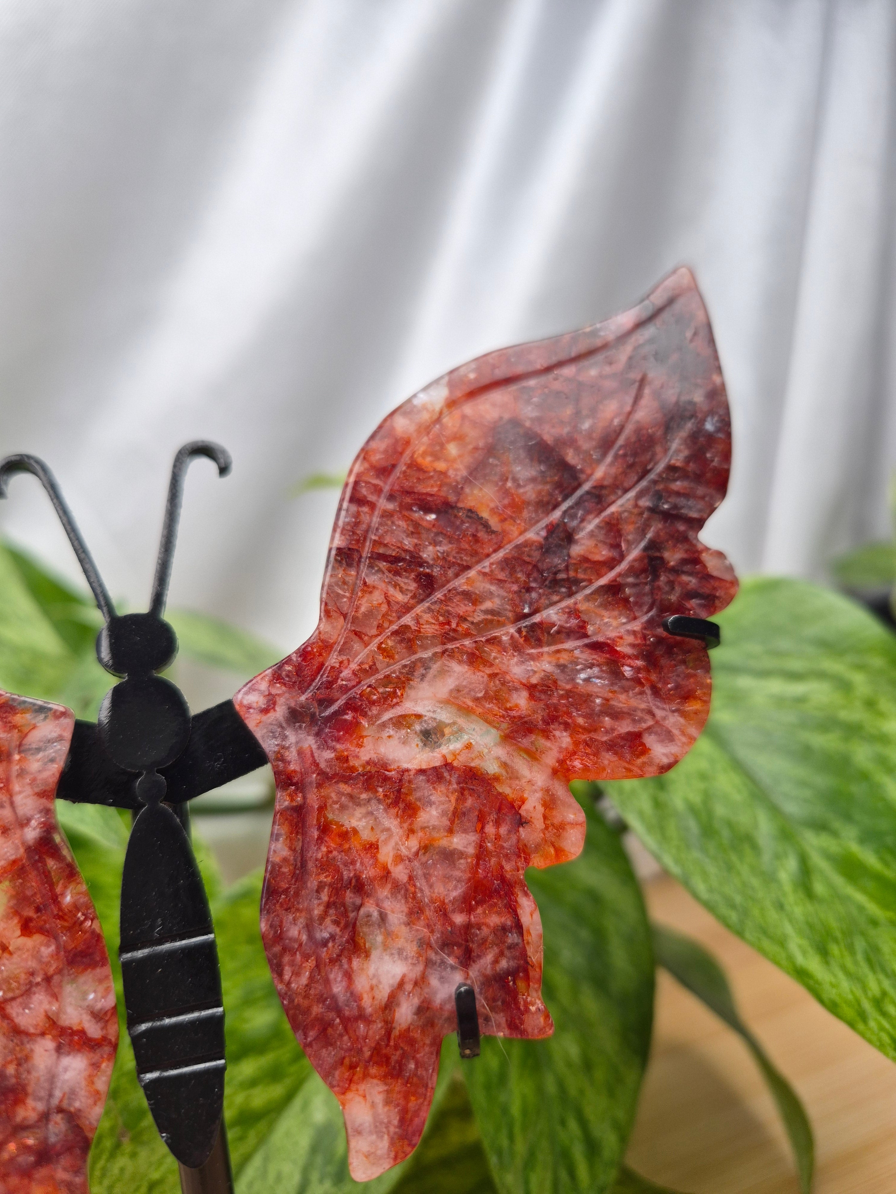 FIRE QUARTZ BUTTERFLY WINGS