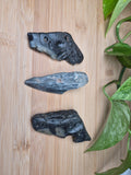 MEGALODON TOOTH FRAGMENTS, LARGE