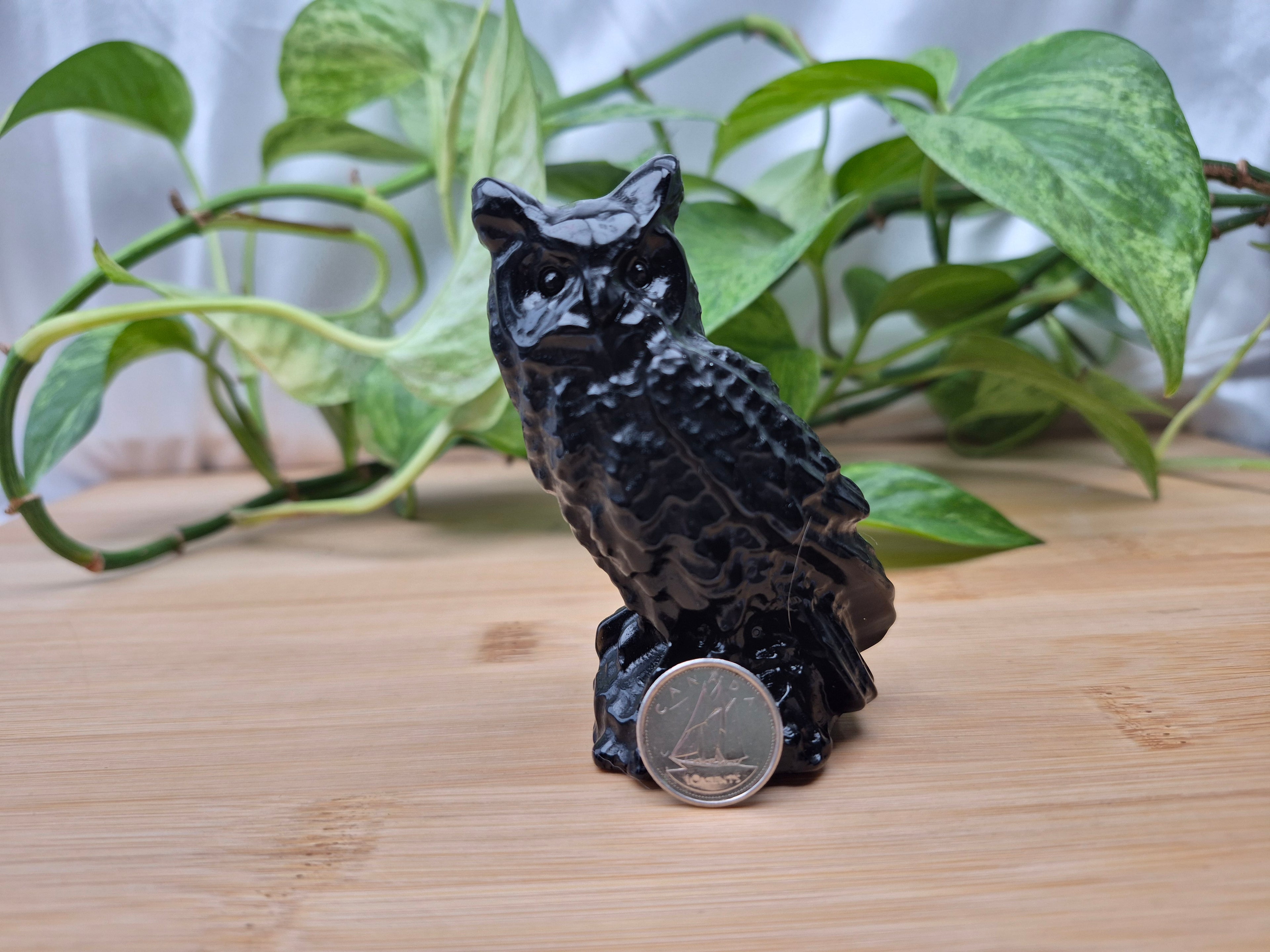 OBSIDIAN OWL