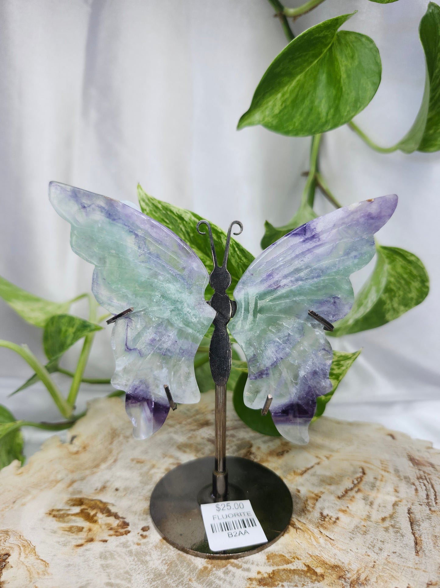 FLUORITE BUTTERFLY WINGS