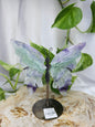 FLUORITE BUTTERFLY WINGS