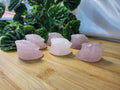 ROSE QUARTZ DITTO