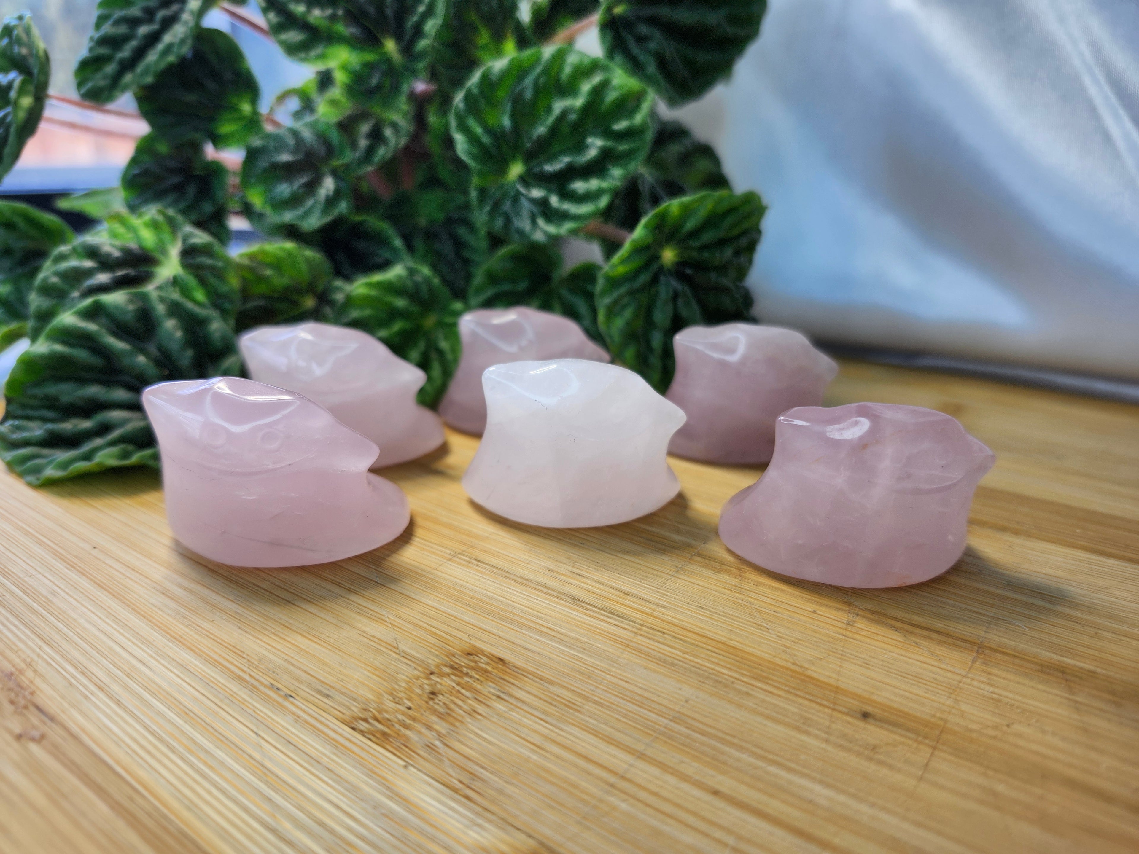 ROSE QUARTZ DITTO